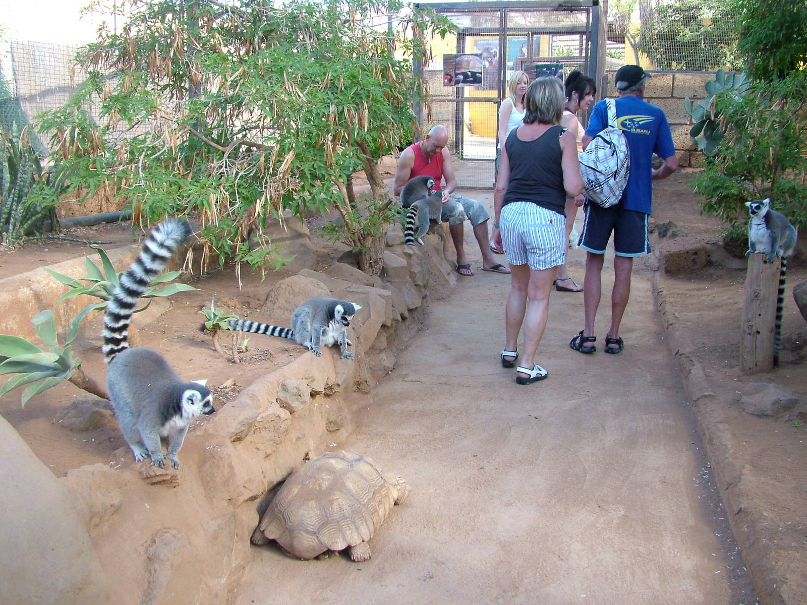 Walkthrough at Monkey Park, 09/11/10