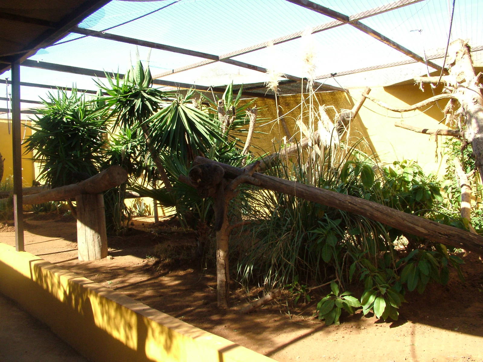 Walkthrough at Monkey Park, 09/11/10