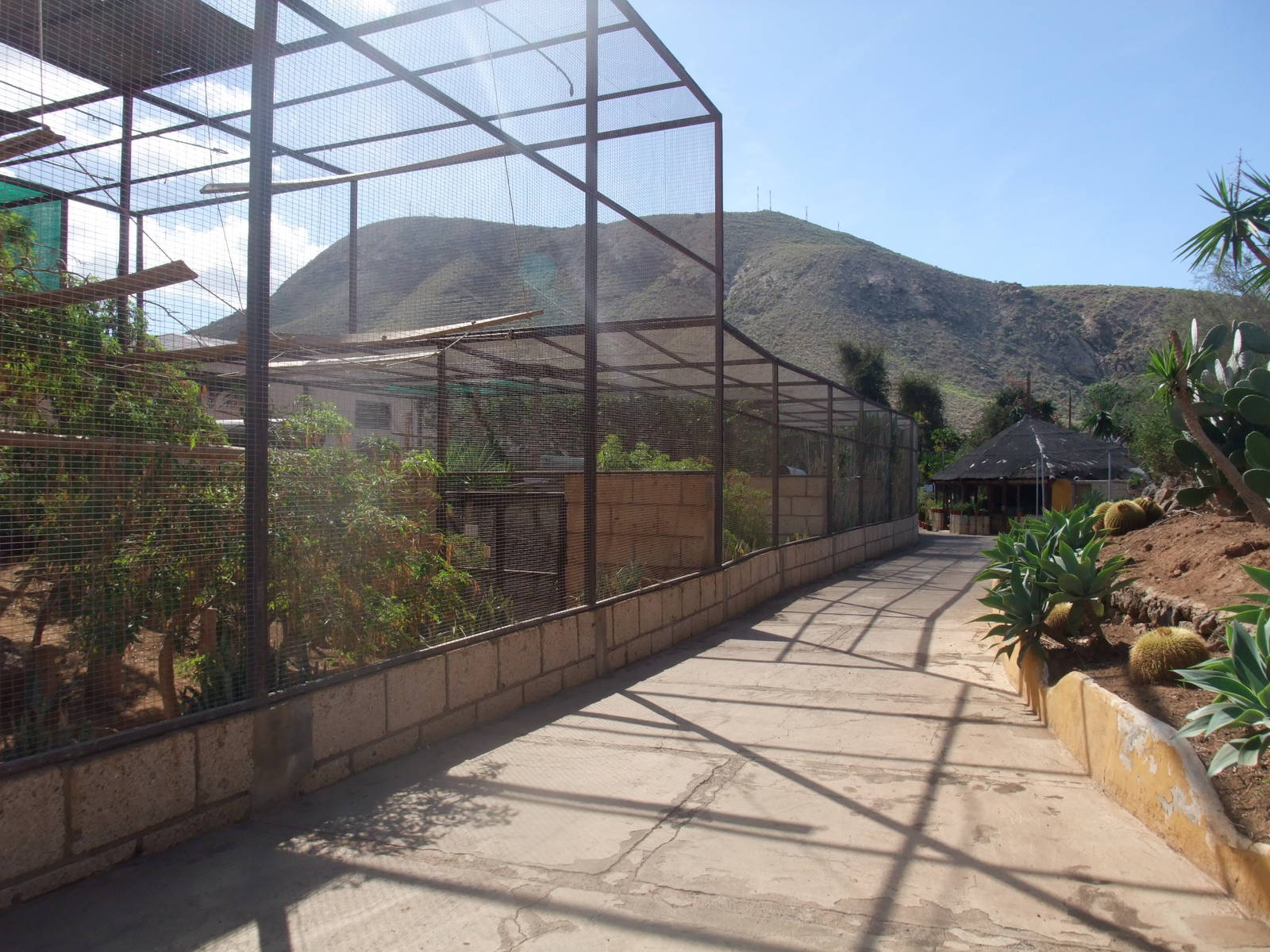 Walkthrough at Monkey Park, 09/11/10