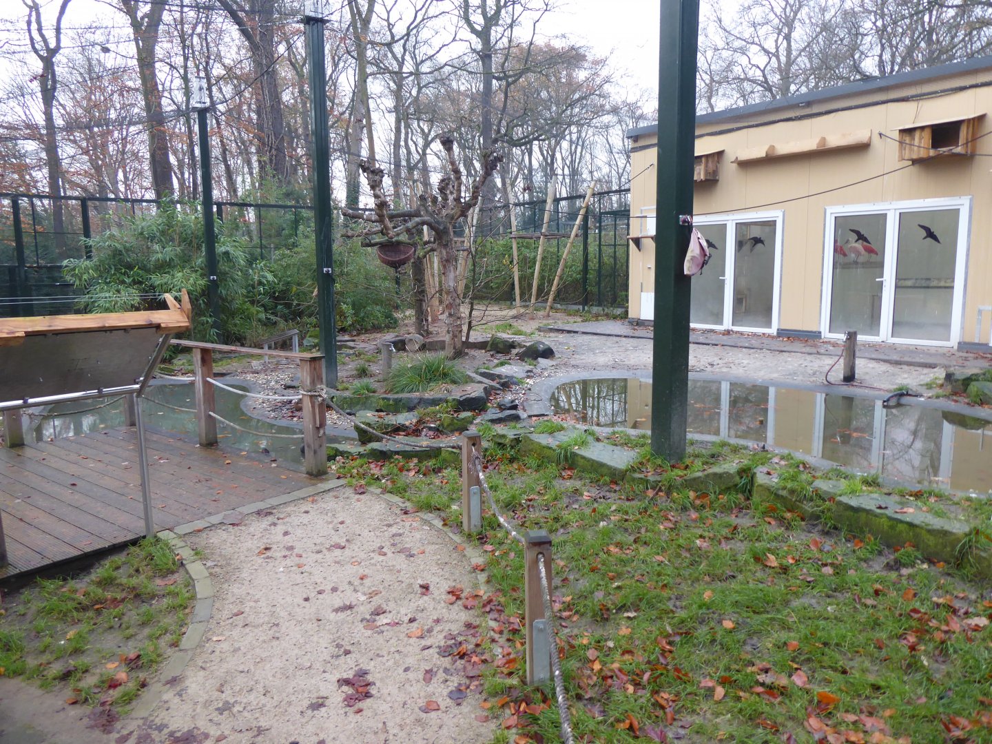 Walkthrough aviary 021219