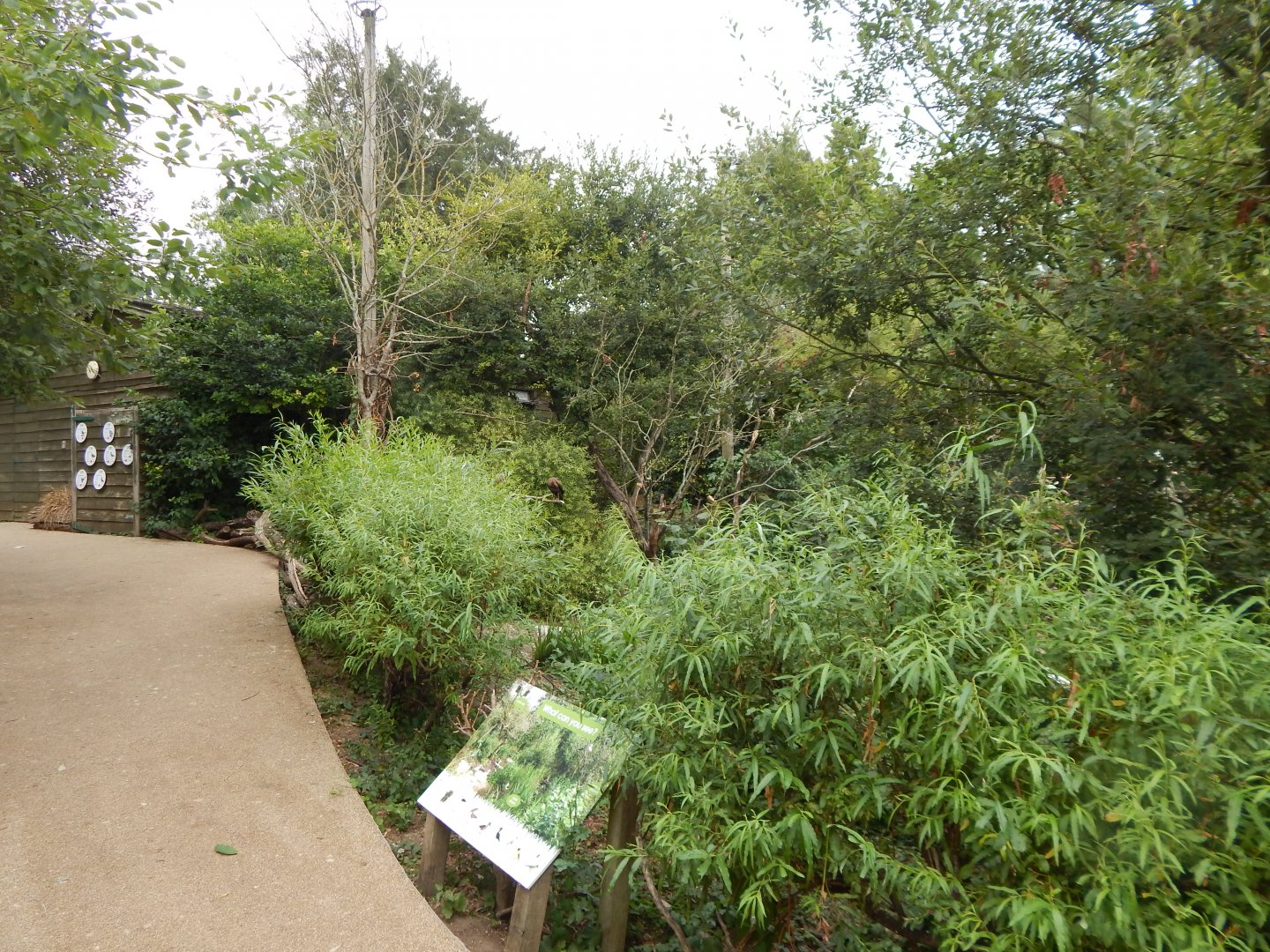 Walkthrough Aviary 040822