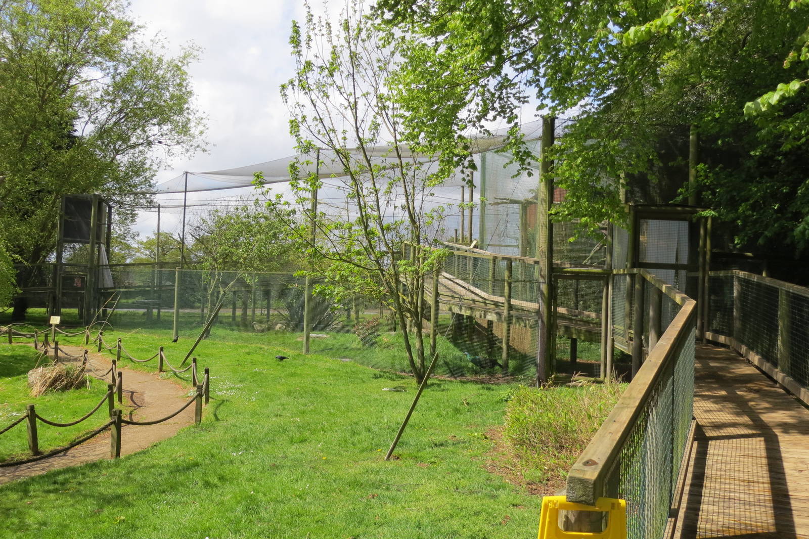 Walkthrough aviary 060515