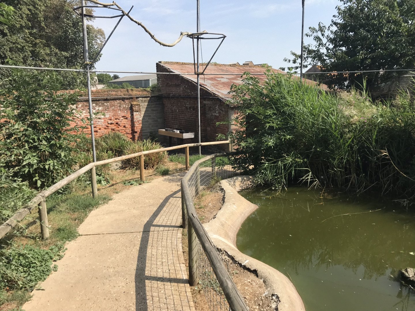 Walkthrough aviary 070818