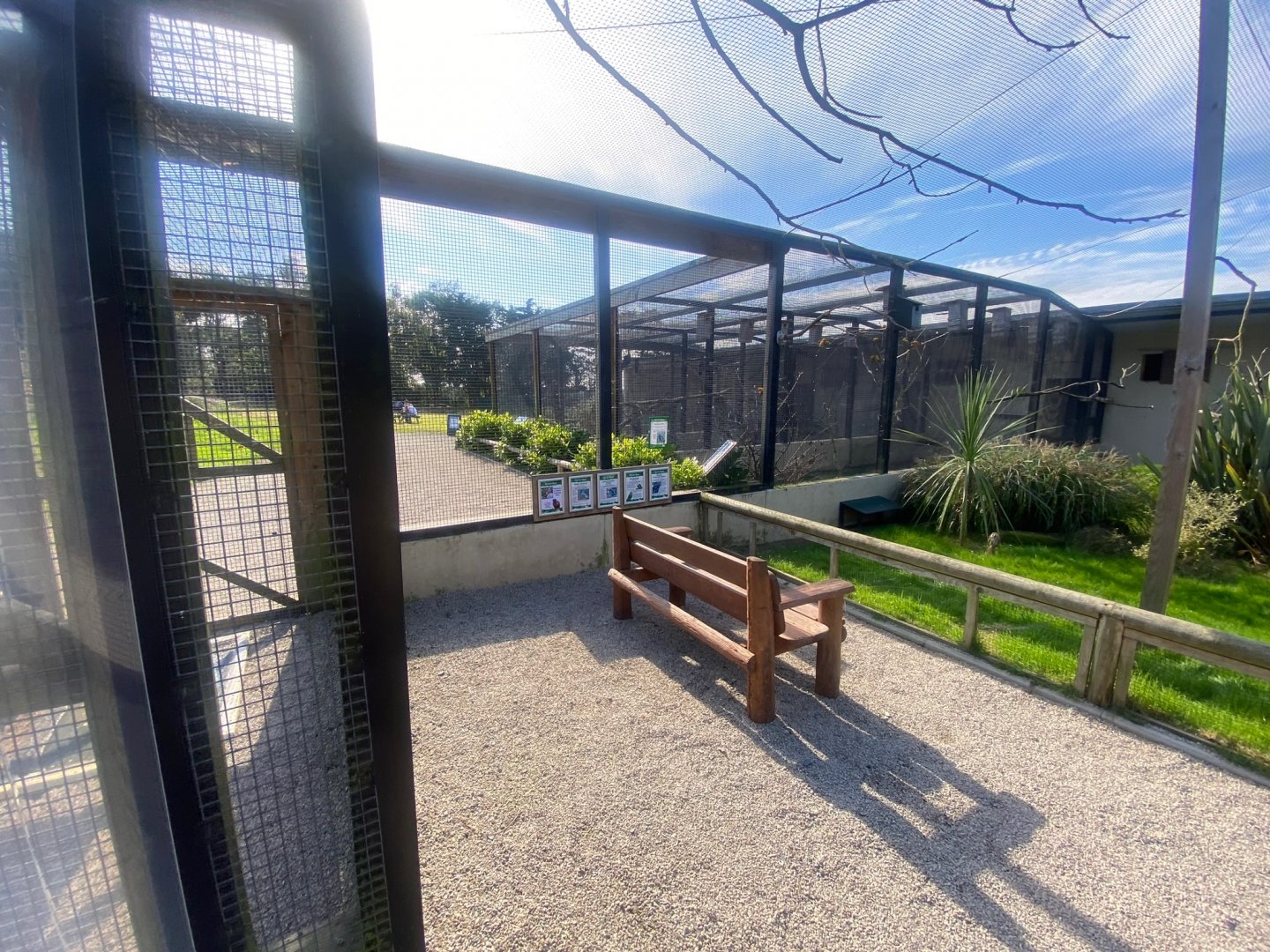 Walkthrough aviary 081023