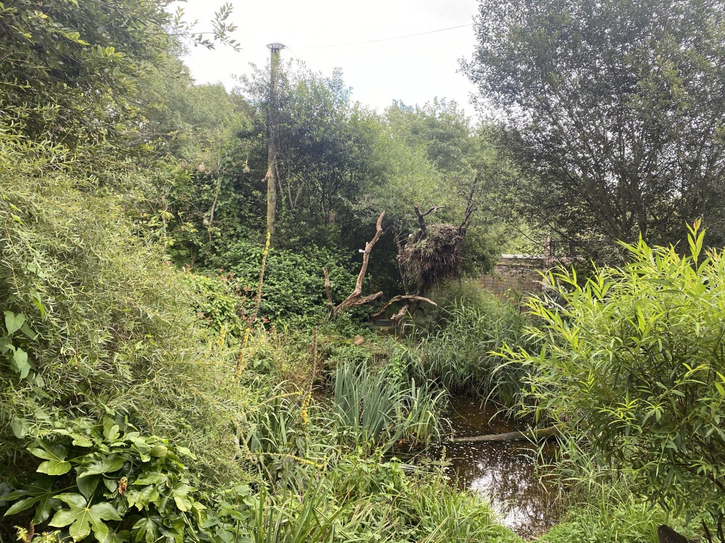 Walkthrough aviary 120821