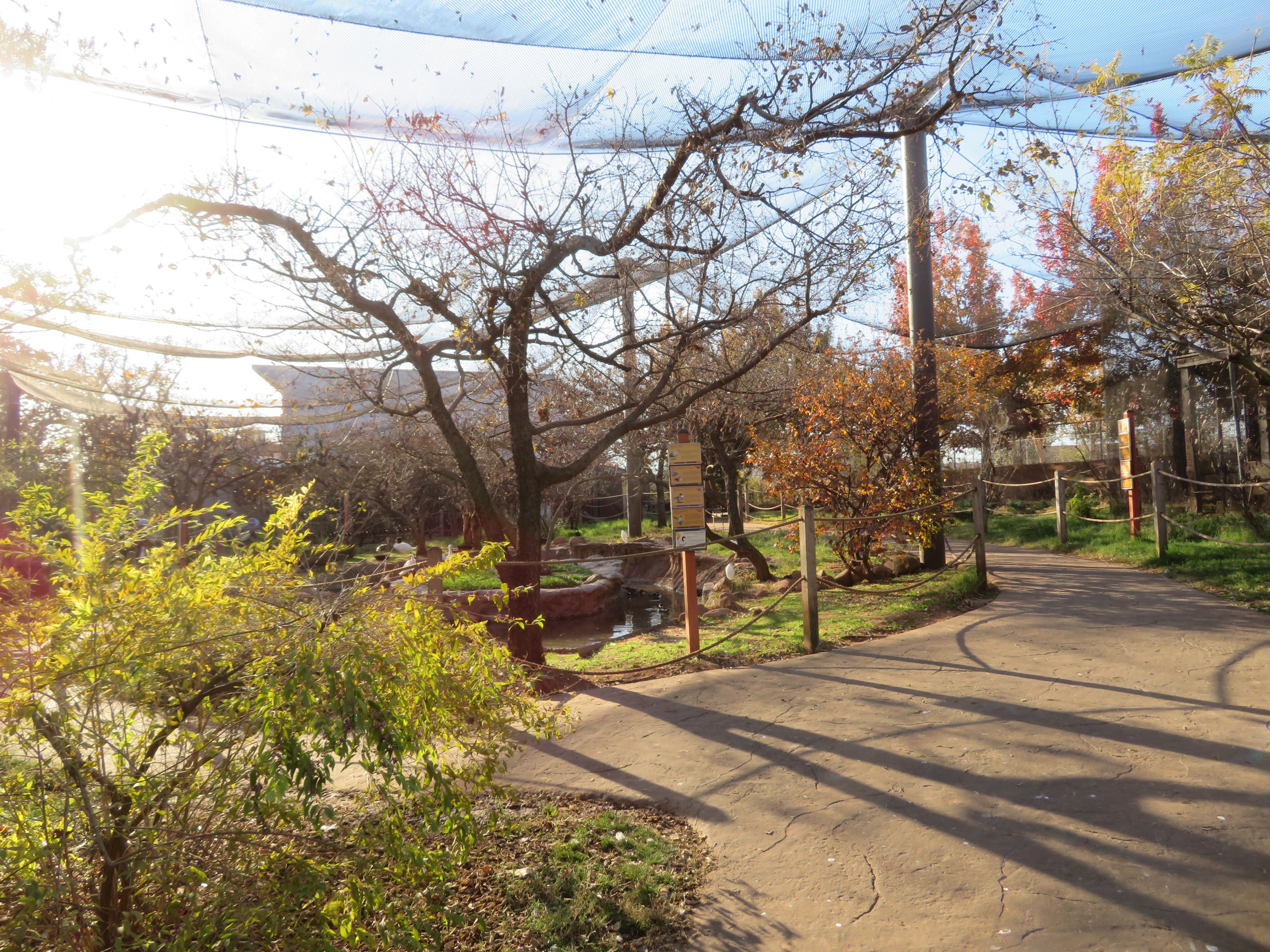 Walkthrough Aviary (17 spp)