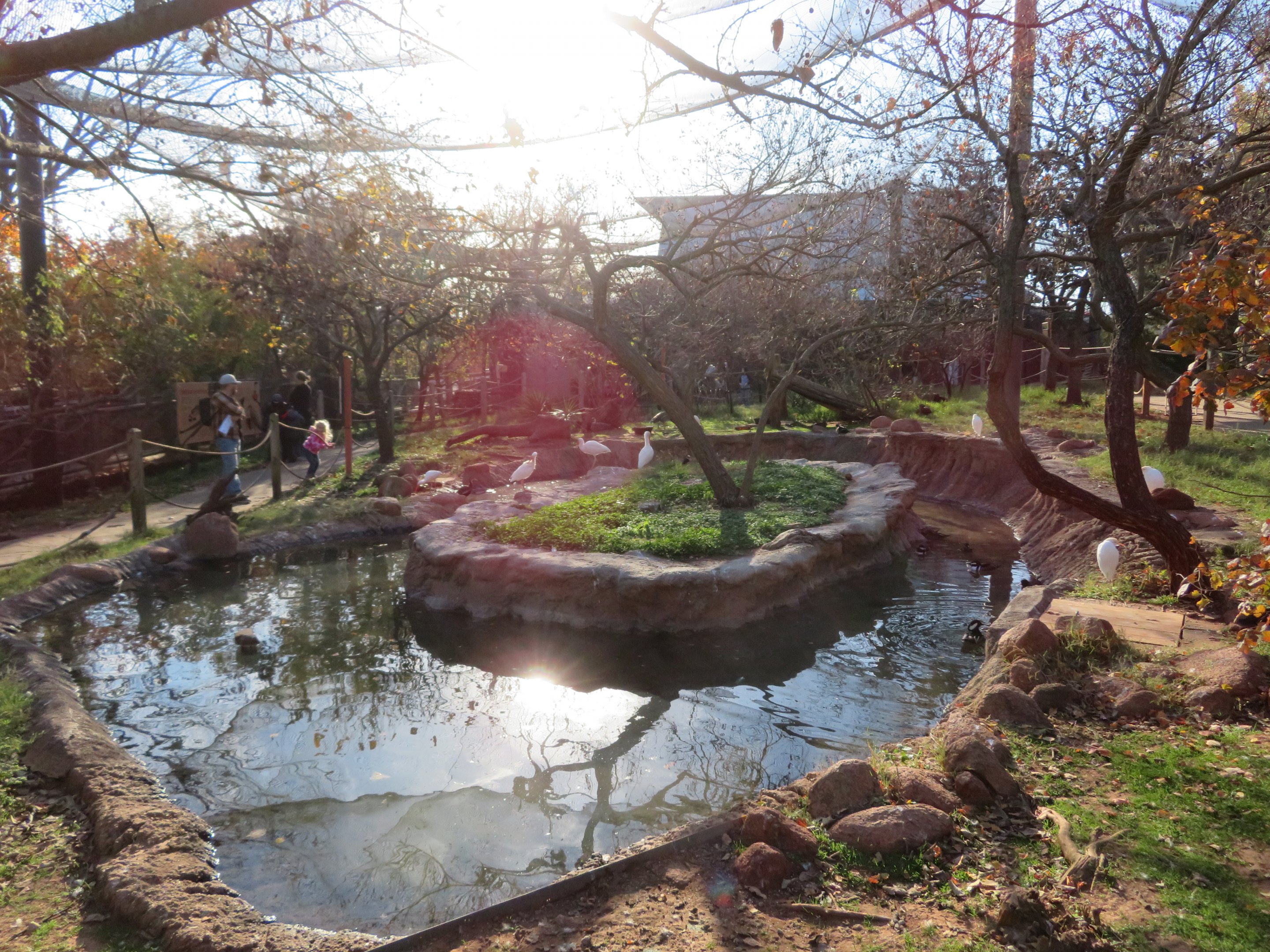 Walkthrough Aviary (17 spp)