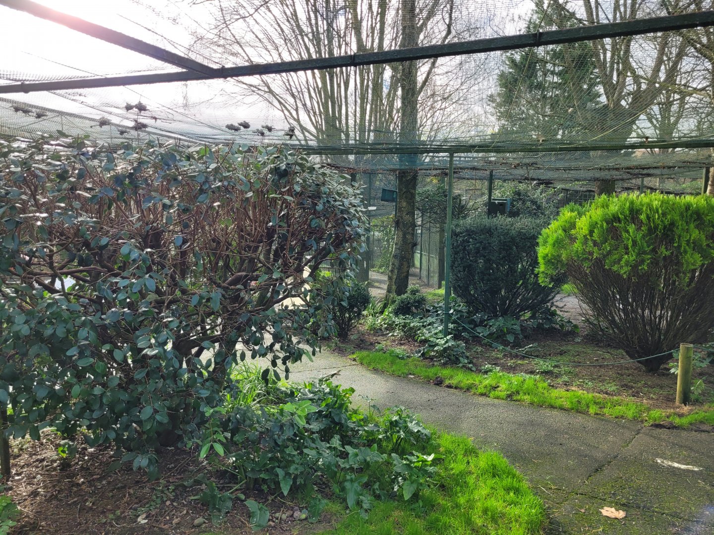 Walkthrough Aviary #2 -Zoo de Santillana del Mar (2023)