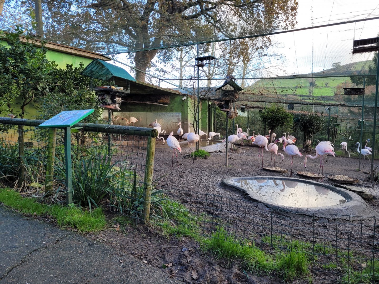 Walkthrough Aviary #2 -Zoo de Santillana del Mar (2023)
