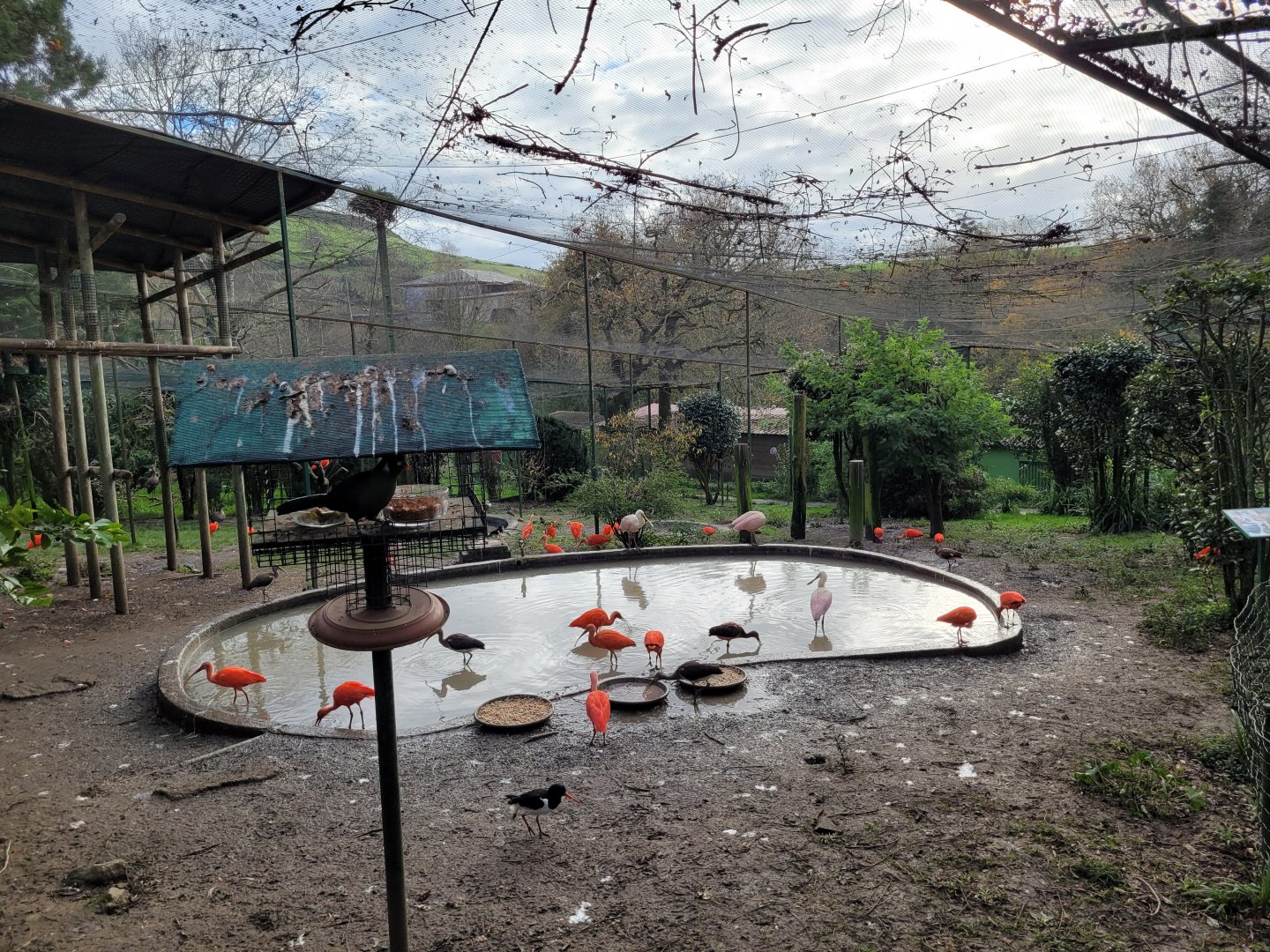 Walkthrough Aviary #3 -Zoo de Santillana del Mar (2023)