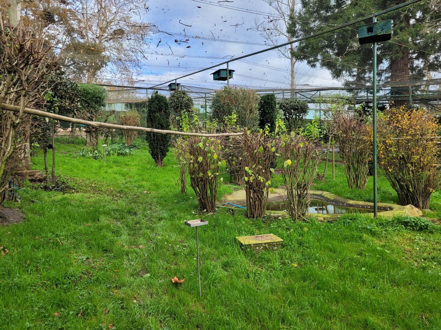 Walkthrough Aviary #4 -Zoo de Santillana del Mar (2023)