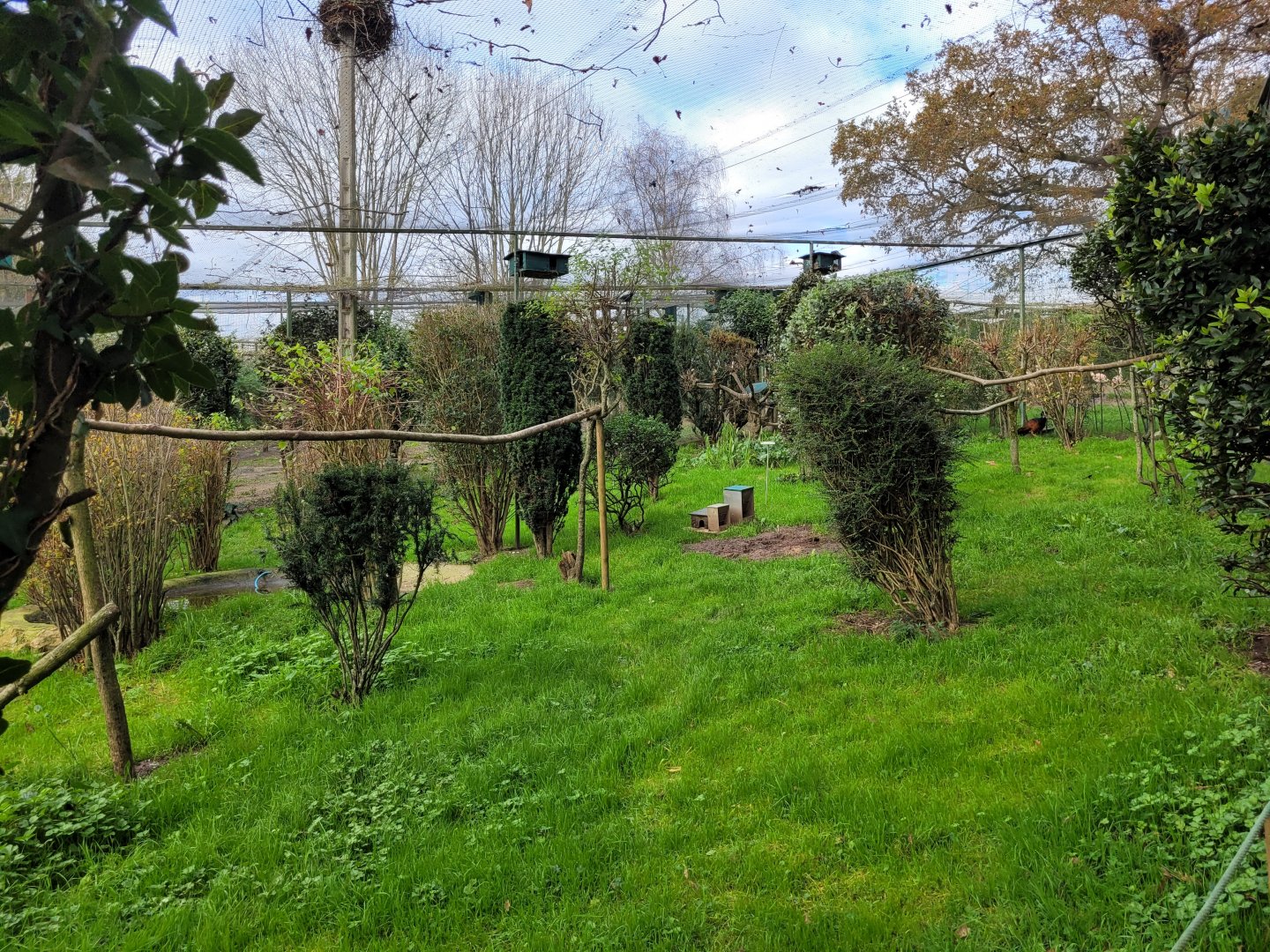 Walkthrough Aviary #4 -Zoo de Santillana del Mar (2023)