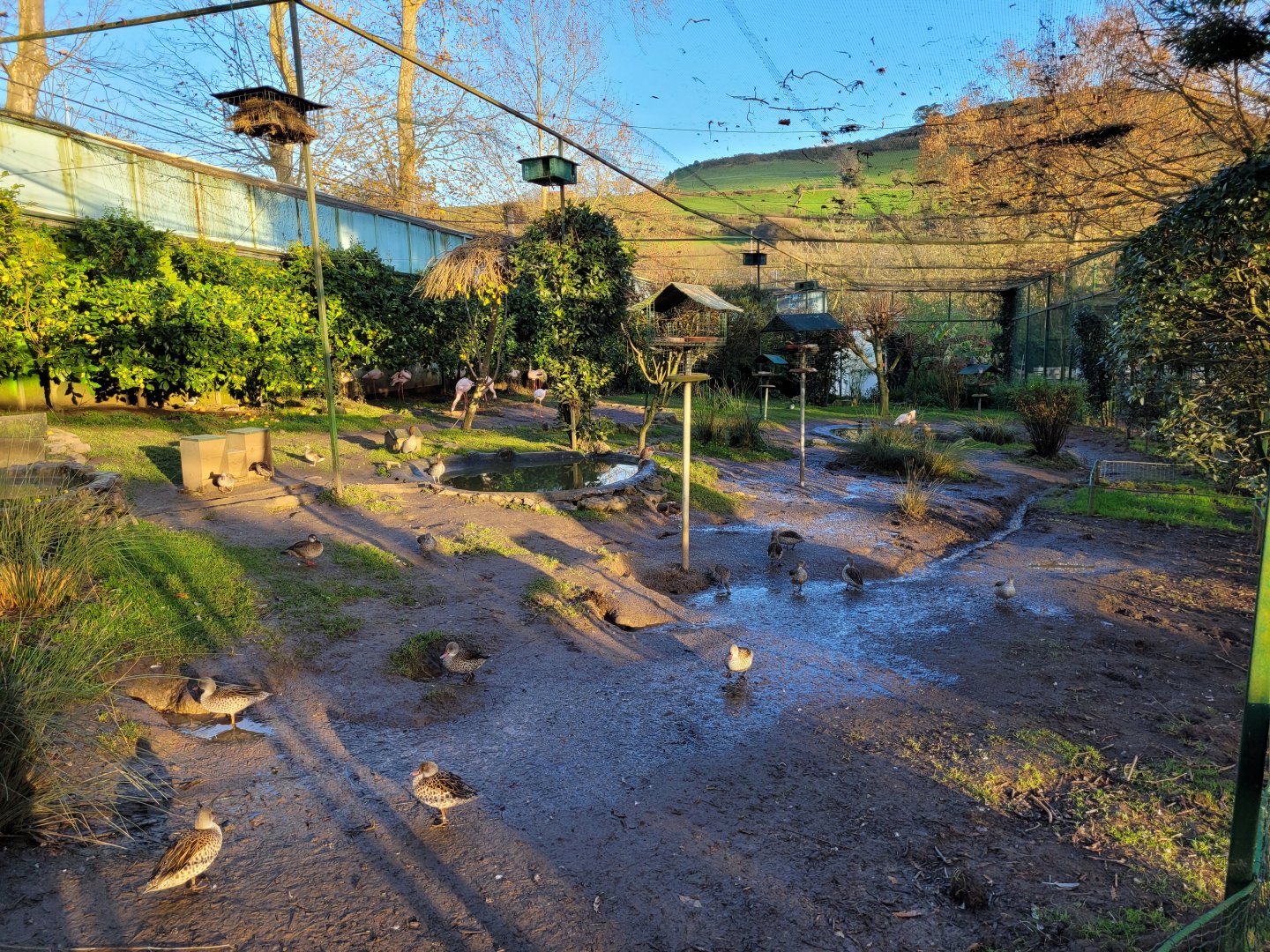 Walkthrough Aviary #5 -Zoo de Santillana del Mar (2023)