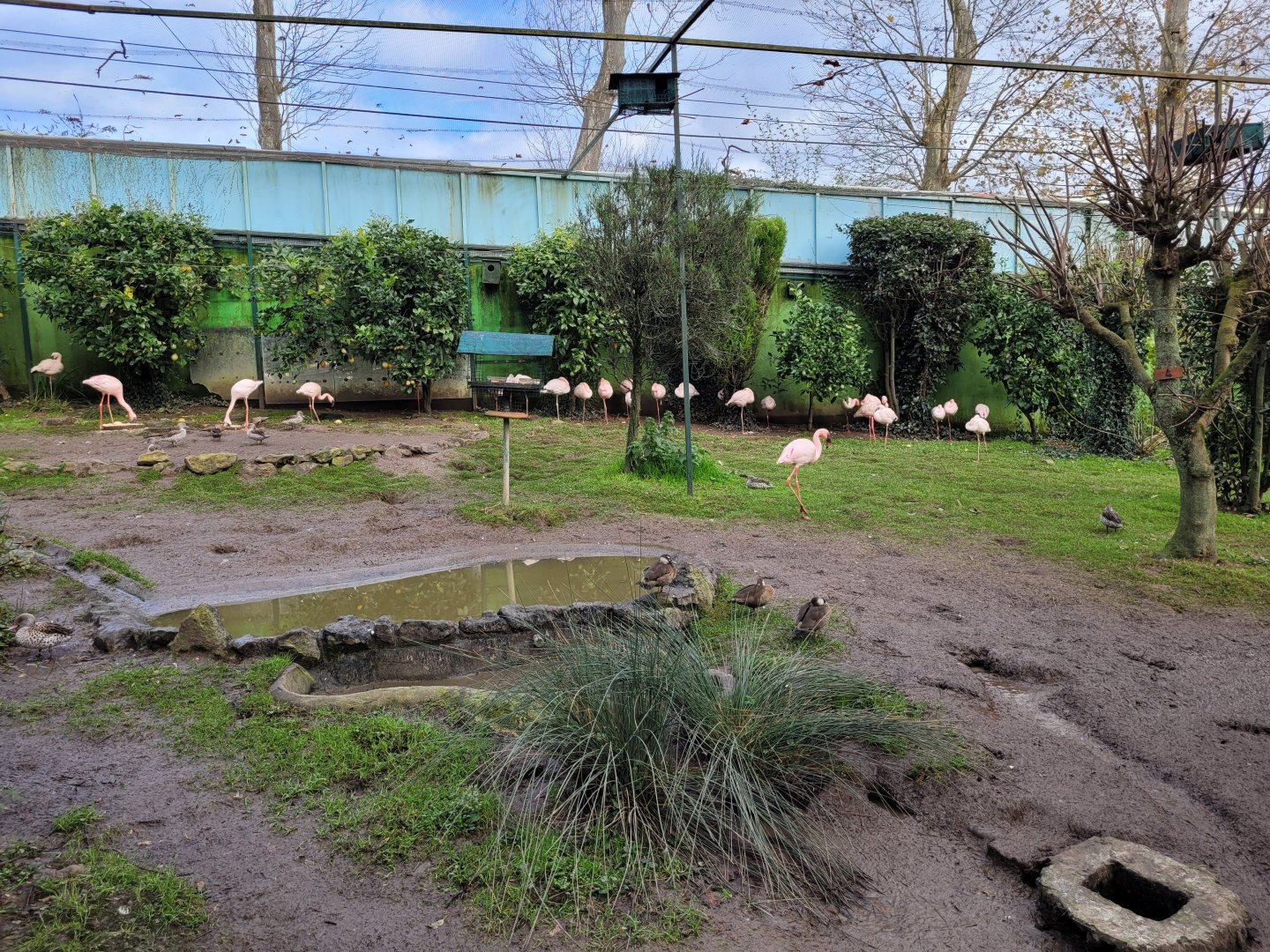 Walkthrough Aviary #5 -Zoo de Santillana del Mar (2023)