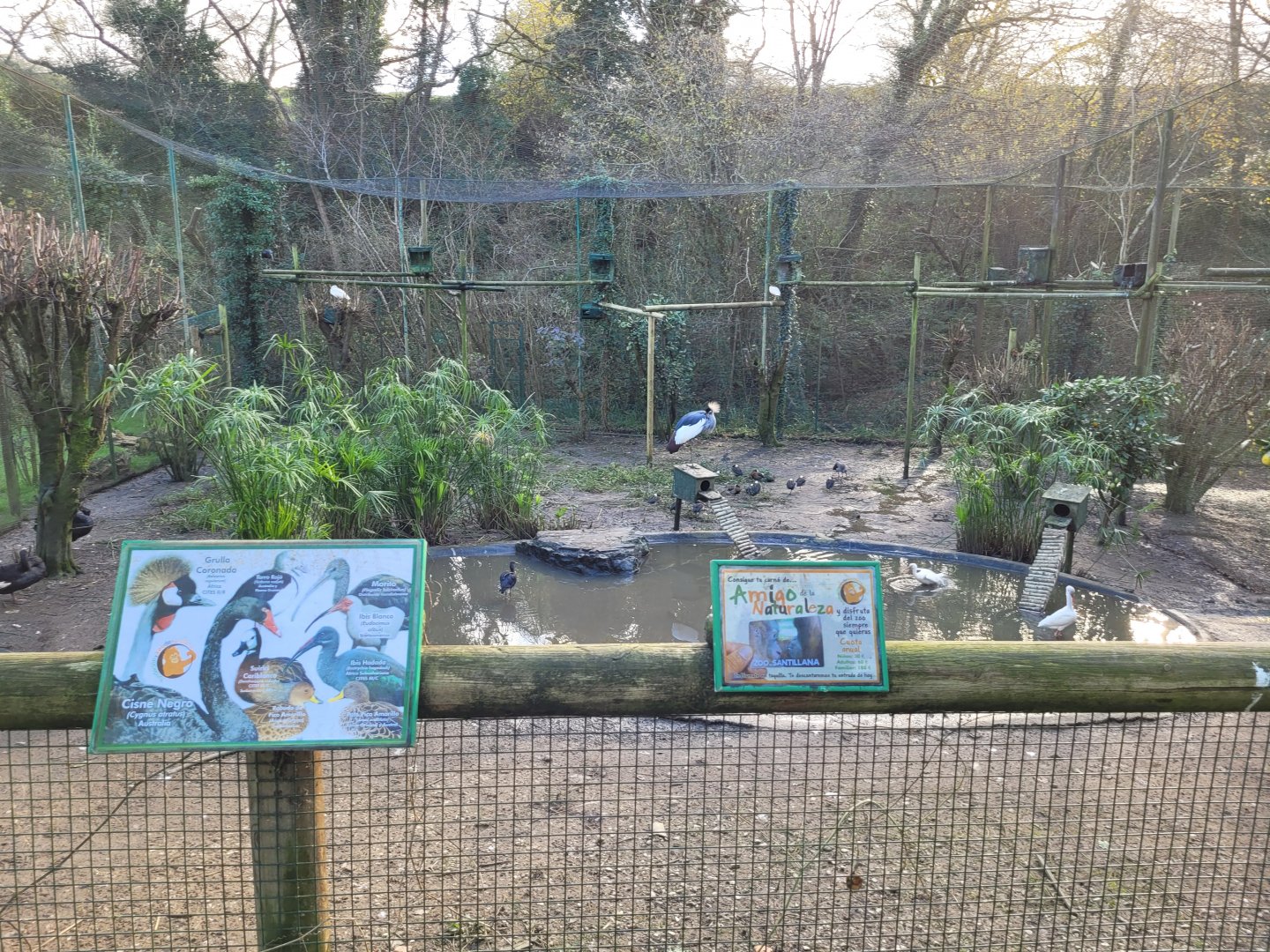 Walkthrough Aviary #7 -Zoo de Santillana del Mar (2023)