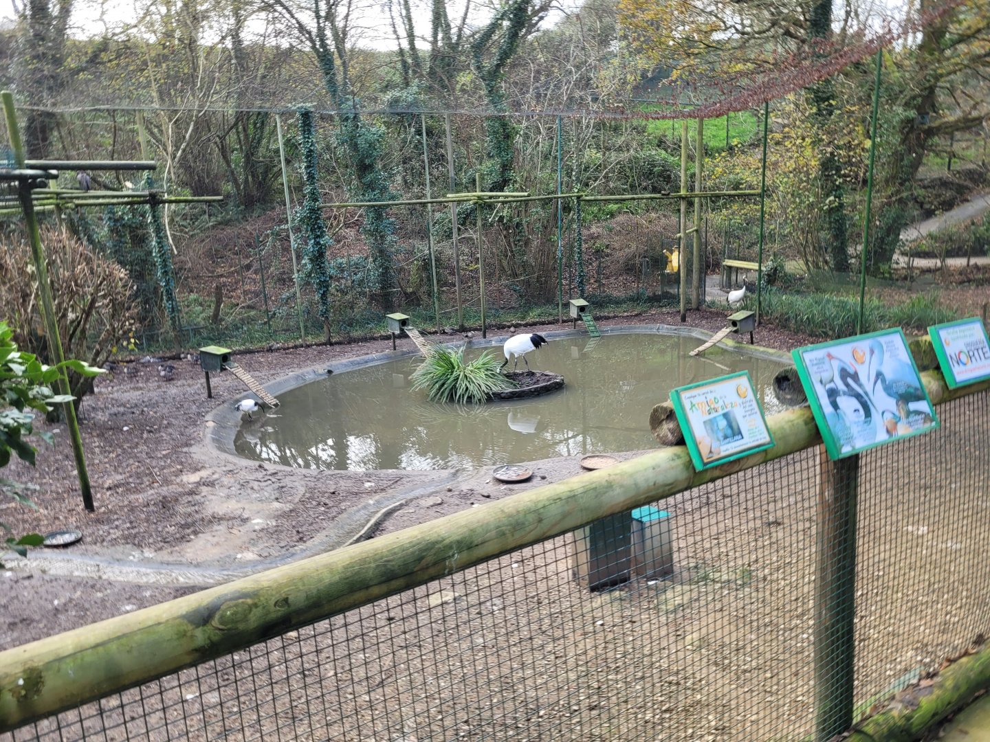 Walkthrough Aviary #8 -Zoo de Santillana del Mar (2023)