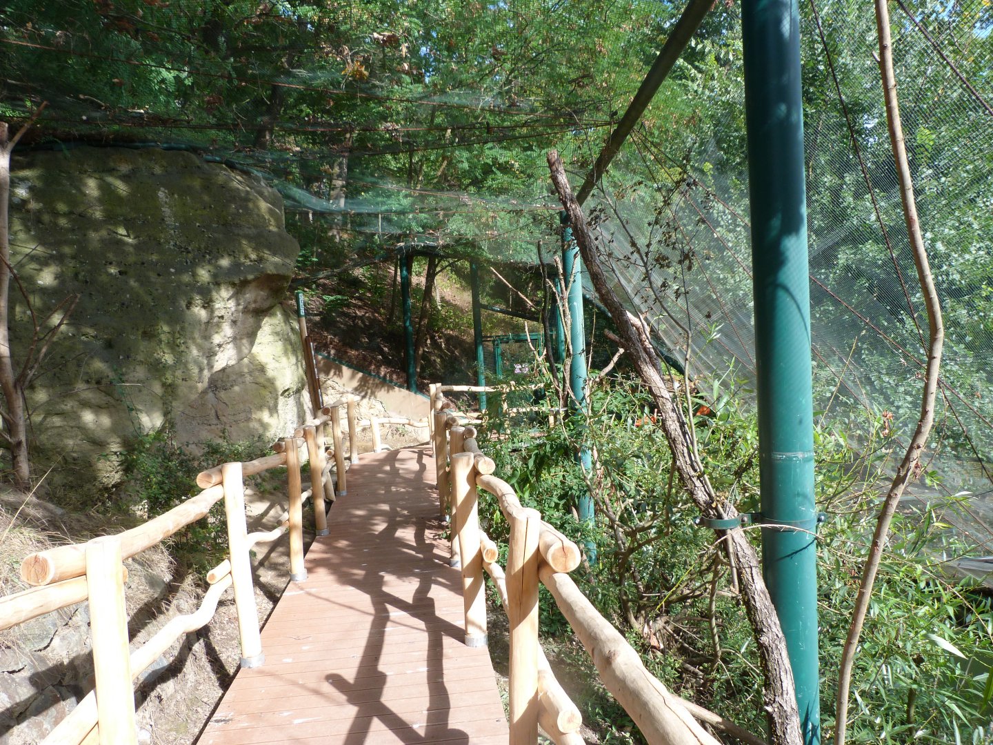 Walkthrough aviary at "Amazonie" -Zoo Plzeň (2025)