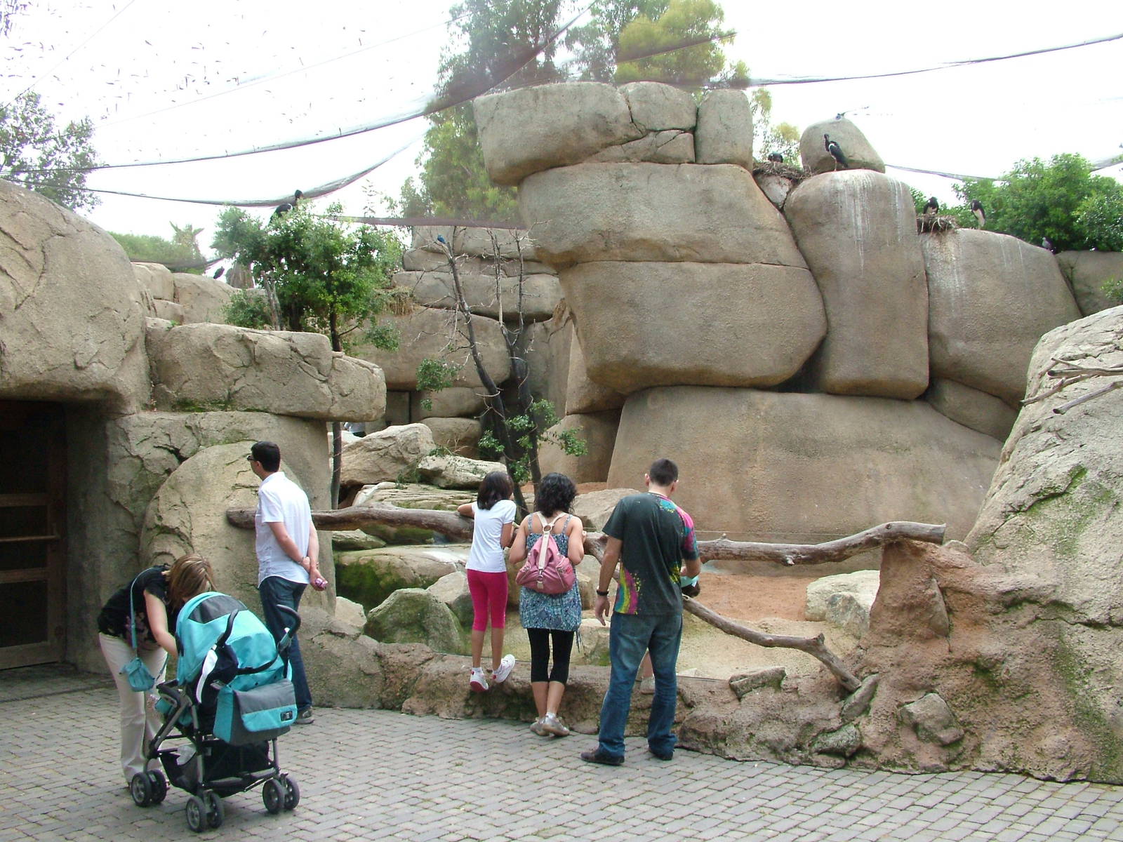 Walkthrough Aviary at Bioparc Valencia, 28/05/11