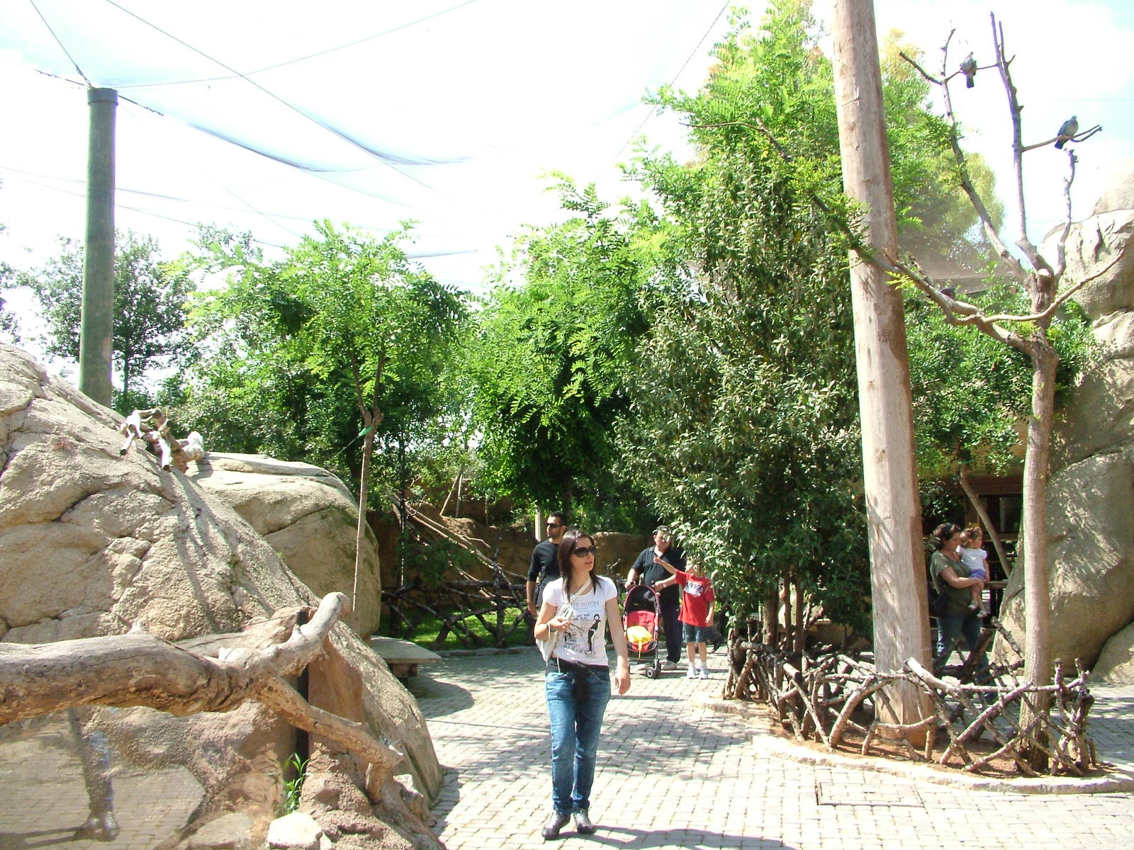 Walkthrough Aviary at Bioparc Valencia, 28/05/11