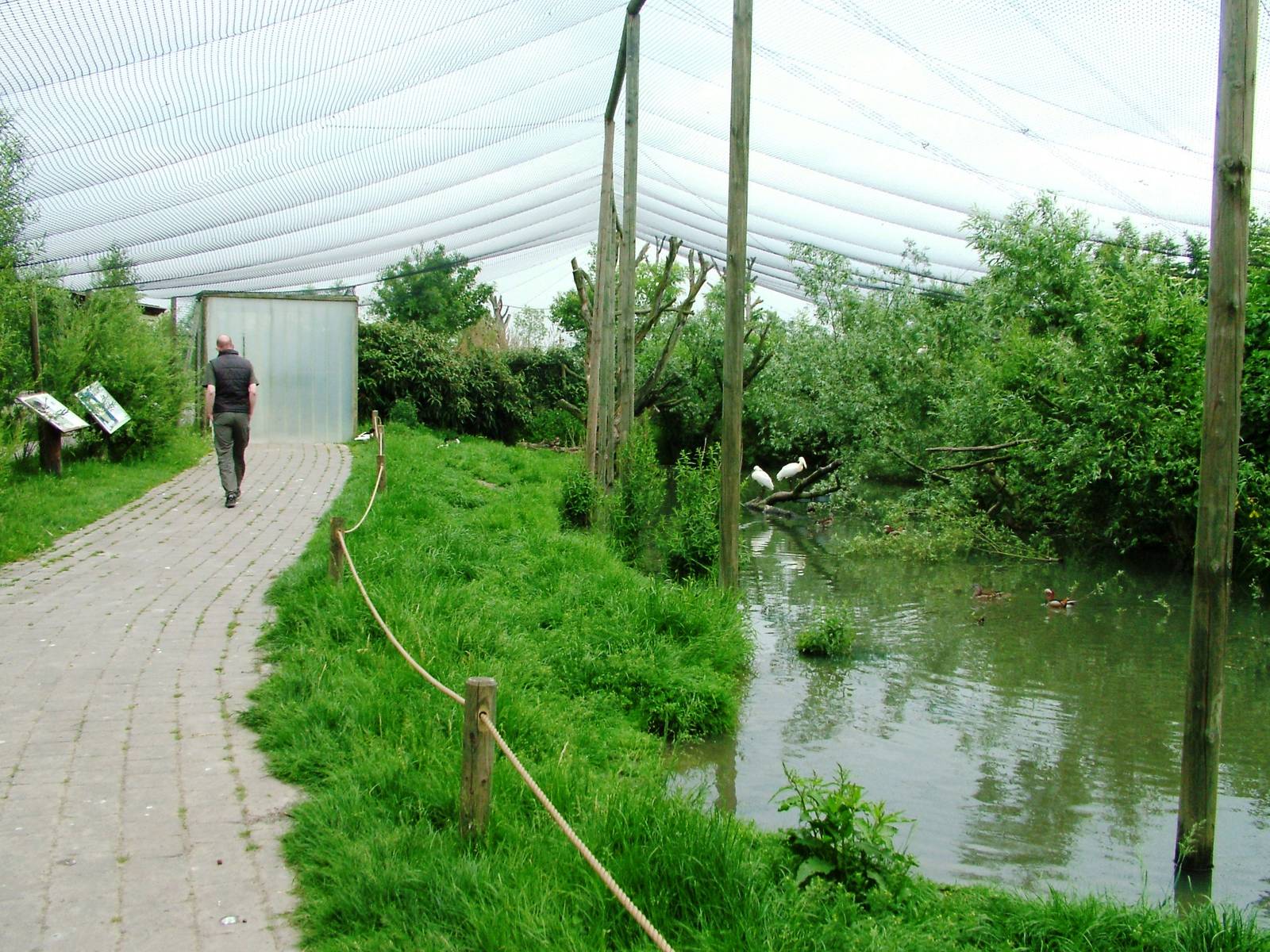 Walkthrough Aviary at Dierenrijk, 31/05/12