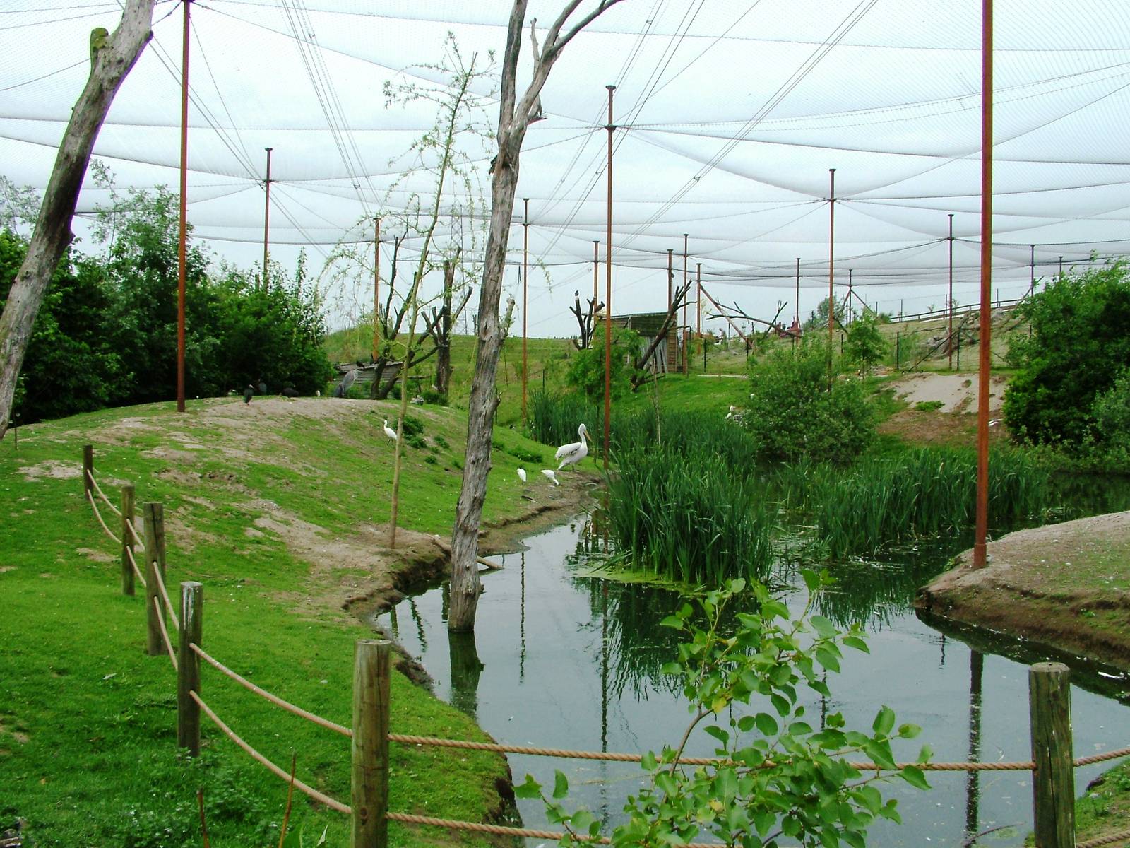 Walkthrough Aviary at Dierenrijk, 31/05/12