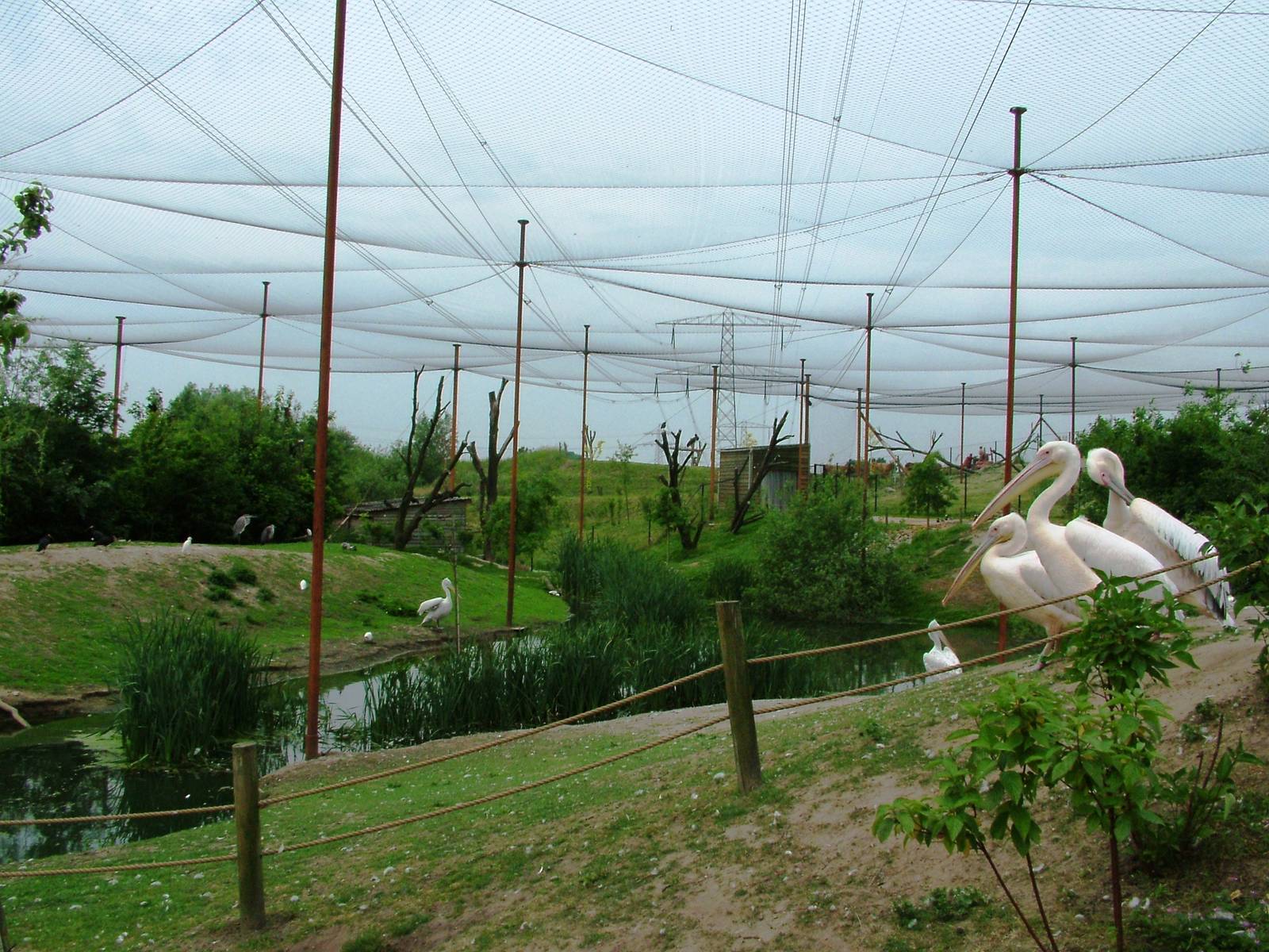 Walkthrough Aviary at Dierenrijk, 31/05/12