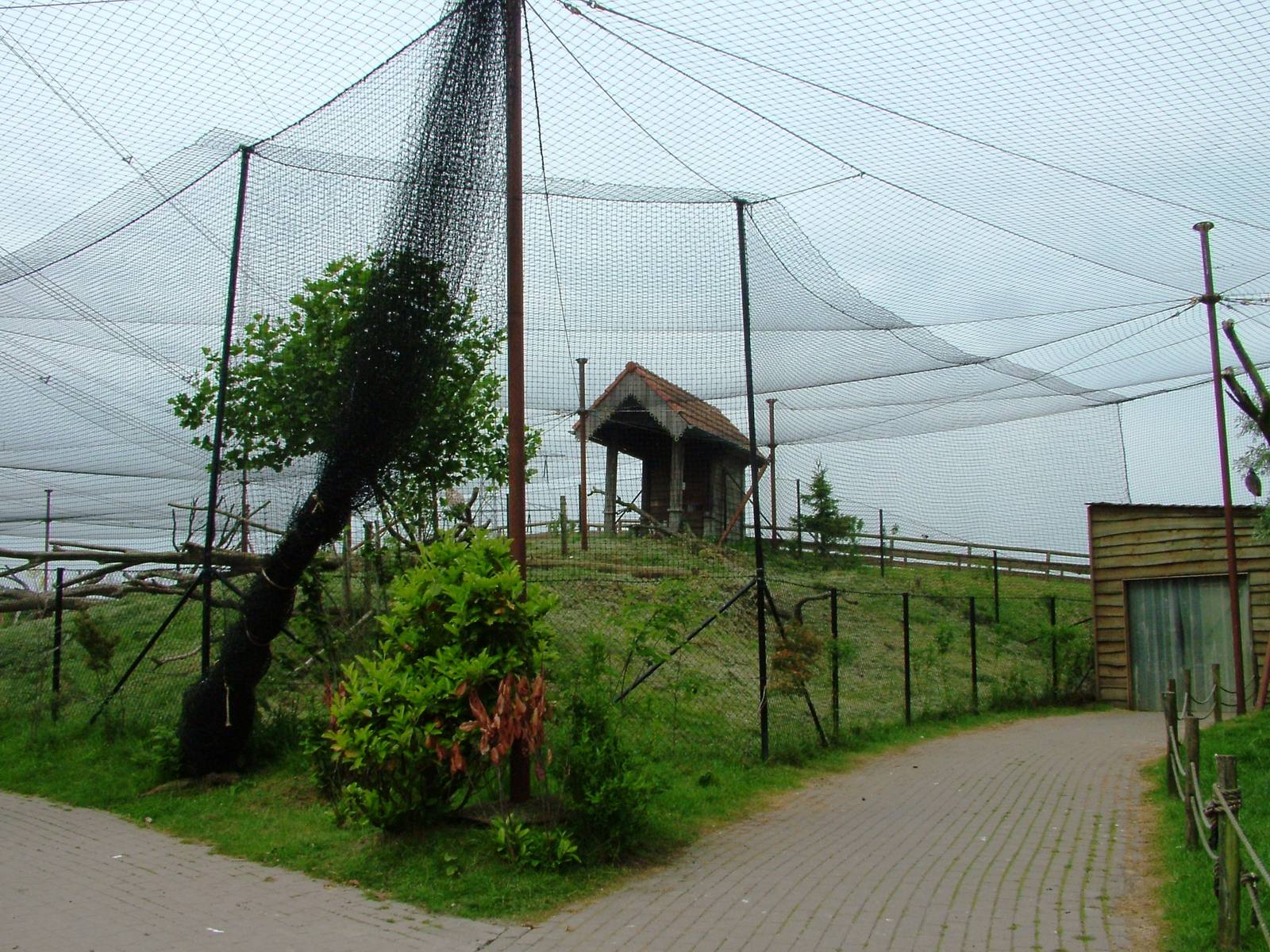 Walkthrough Aviary at Dierenrijk, 31/05/12