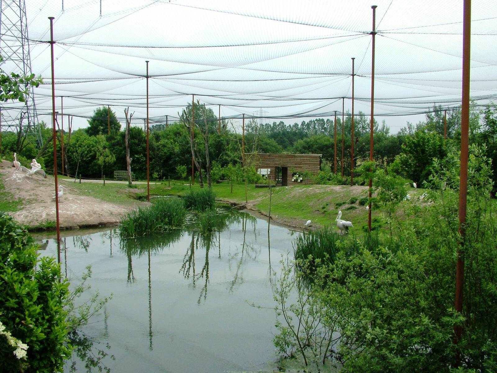 Walkthrough Aviary at Dierenrijk, 31/05/12