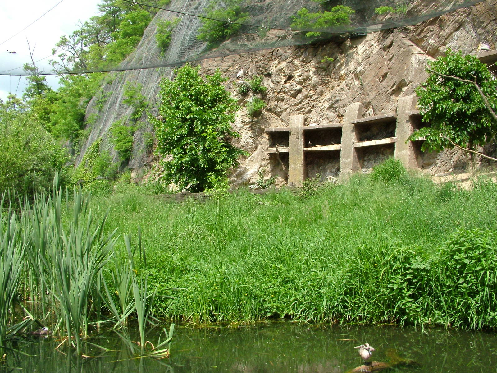 Walkthrough aviary at Prague, 24/05/10
