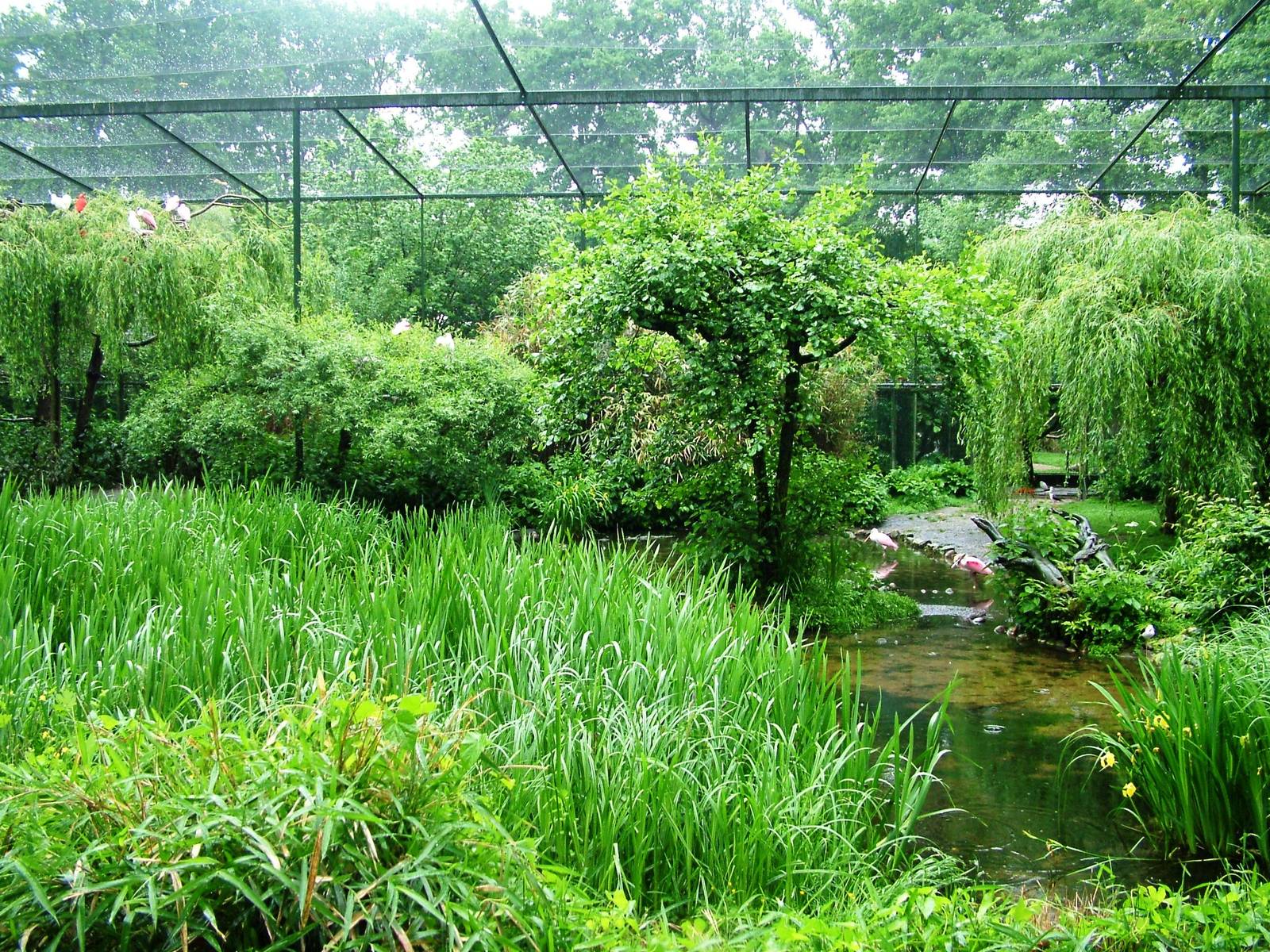 Walkthrough Aviary at Rheine, 03/06/12