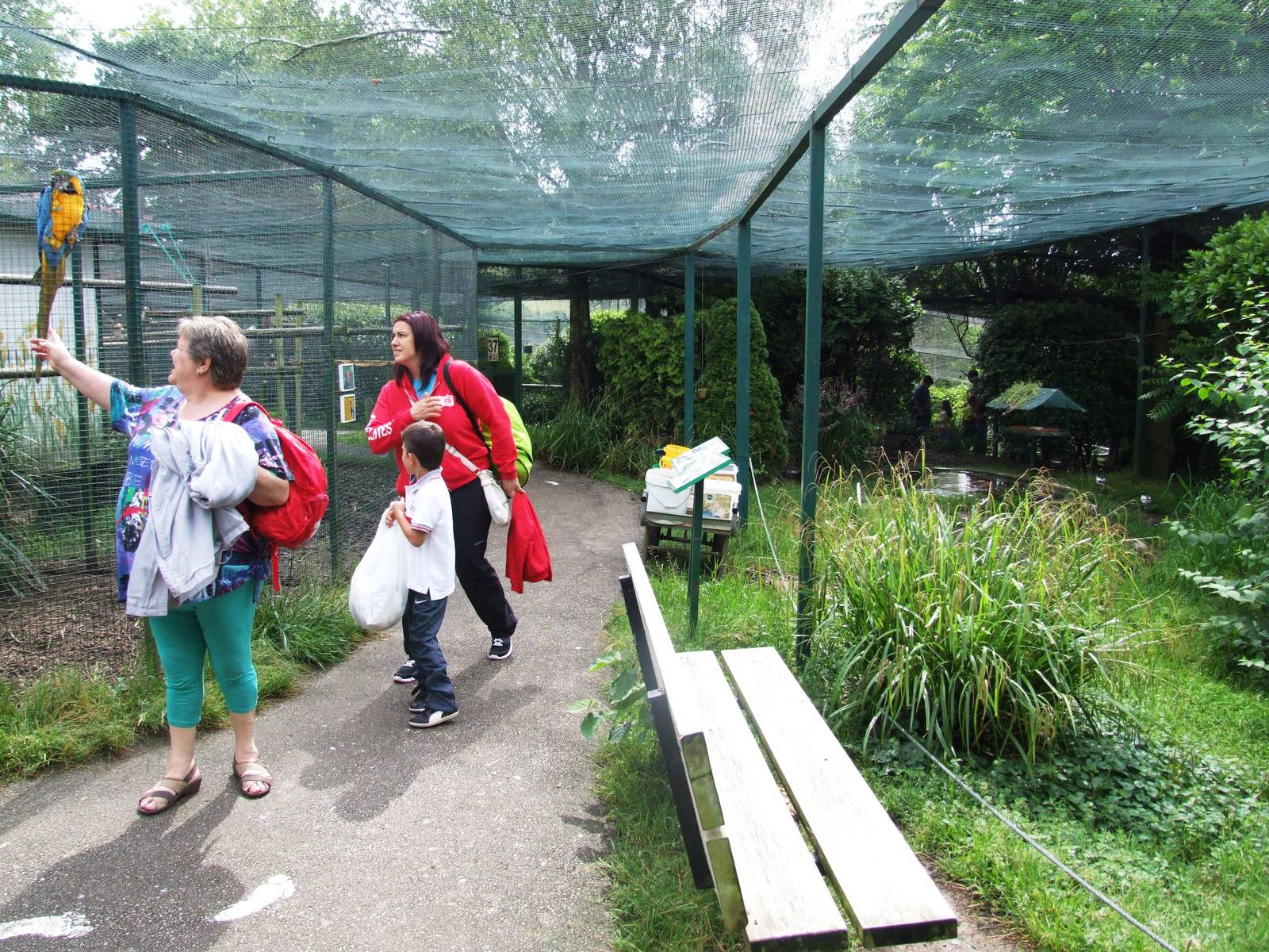 Walkthrough Aviary at Santillana del Mar, 13/06/15