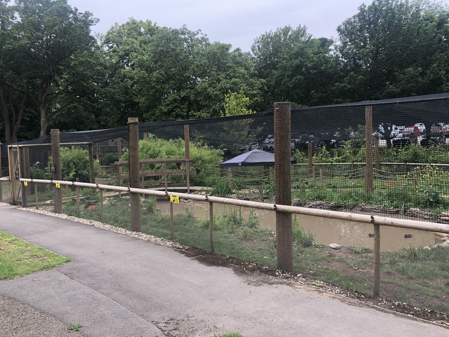 Walkthrough Aviary at Sewerby Zoo (June 2023)