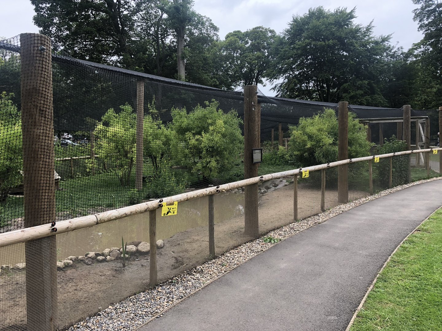 Walkthrough Aviary at Sewerby Zoo (June 2023)