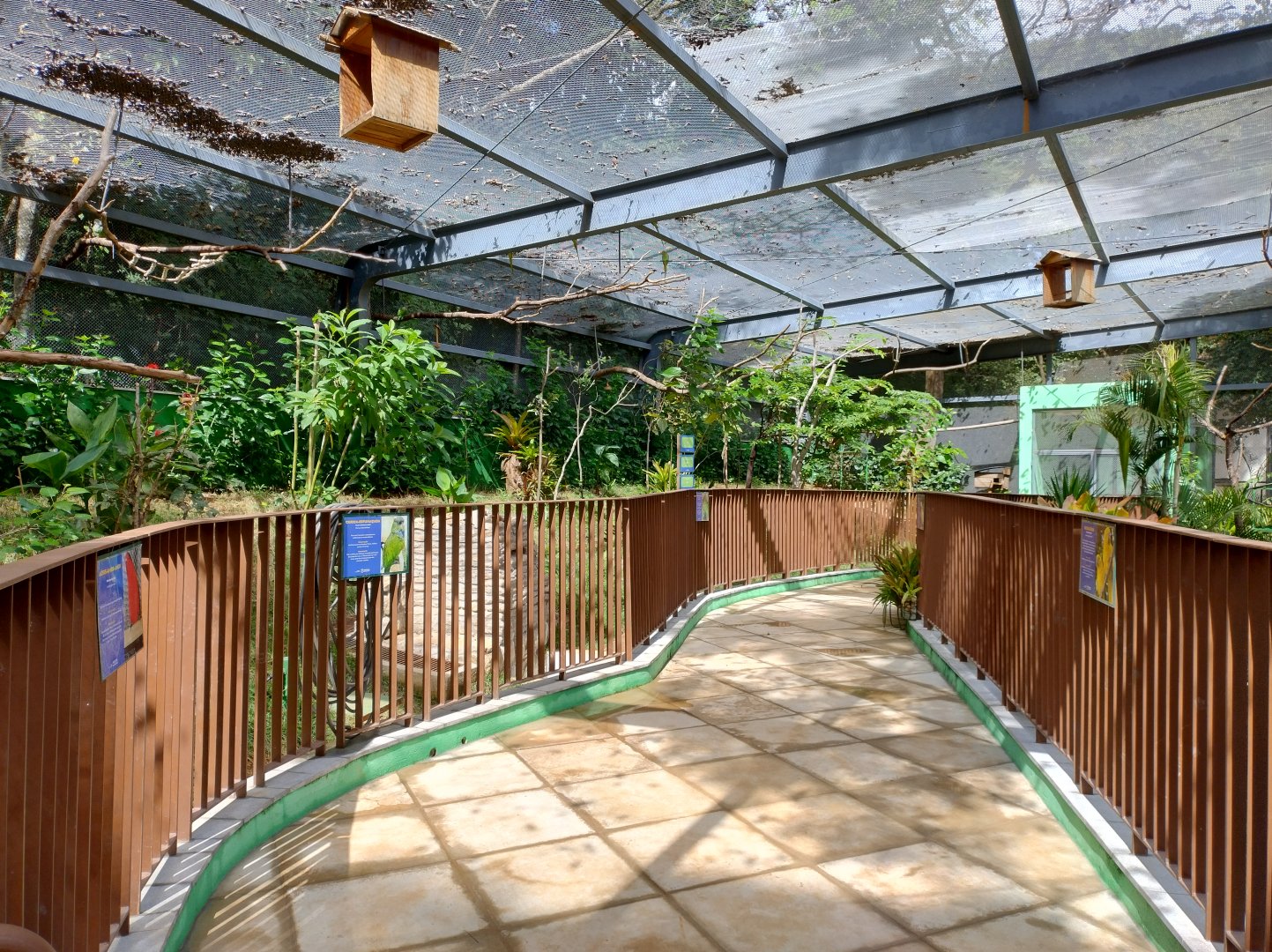 Walkthrough aviary - Belo Horizonte zoo