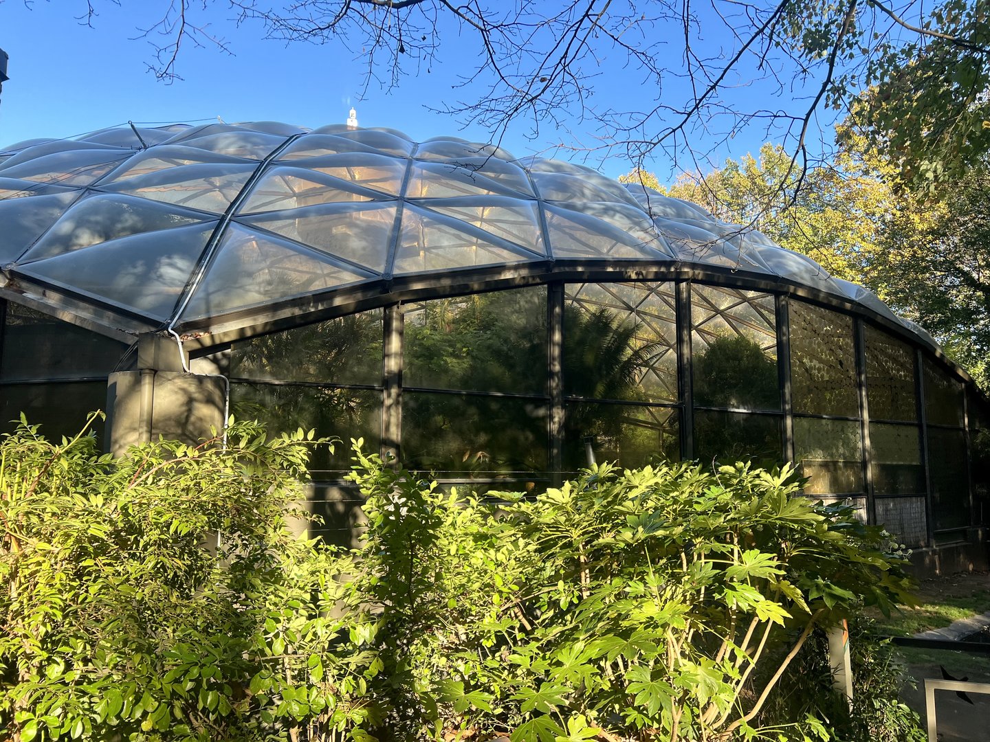 Walkthrough Aviary (closed)