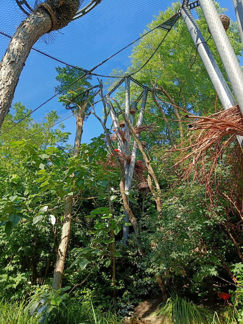 Walkthrough Aviary (Exotarium)