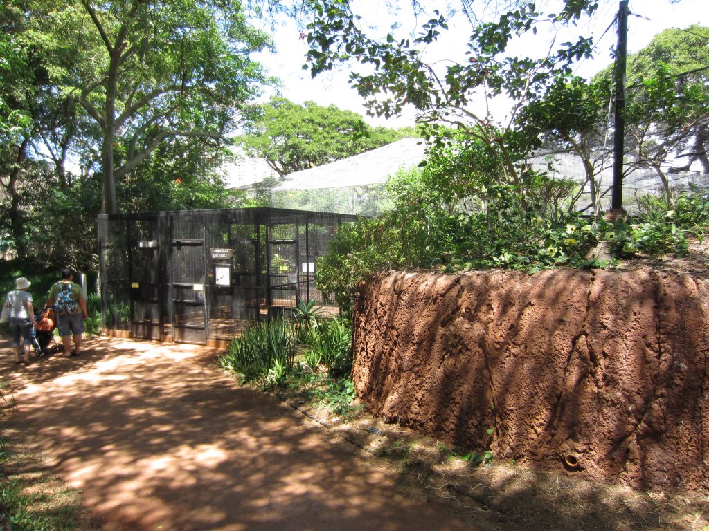 Walkthrough Aviary exterior