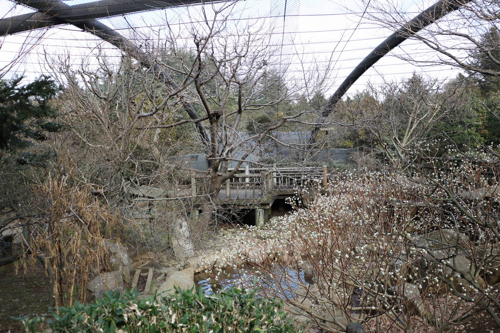 Walkthrough aviary, February 2016