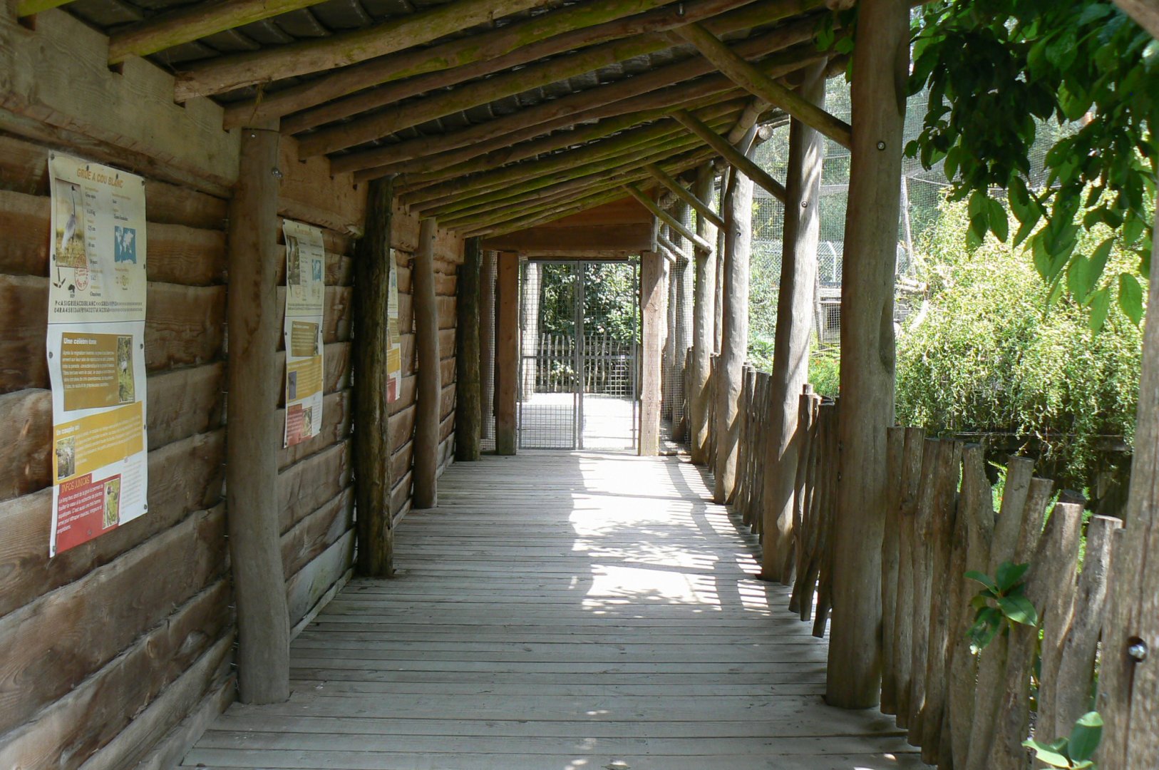 Walkthrough aviary for white-naped cranes, temminck's tragopans and brahminy kites