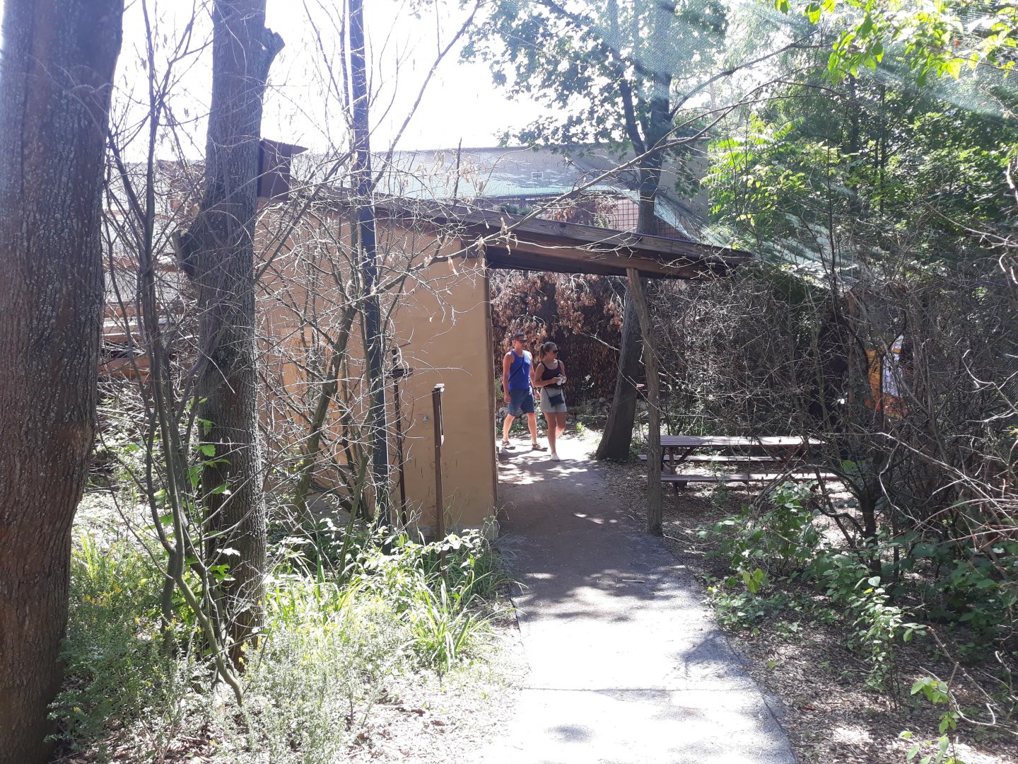 Walkthrough aviary - general overview