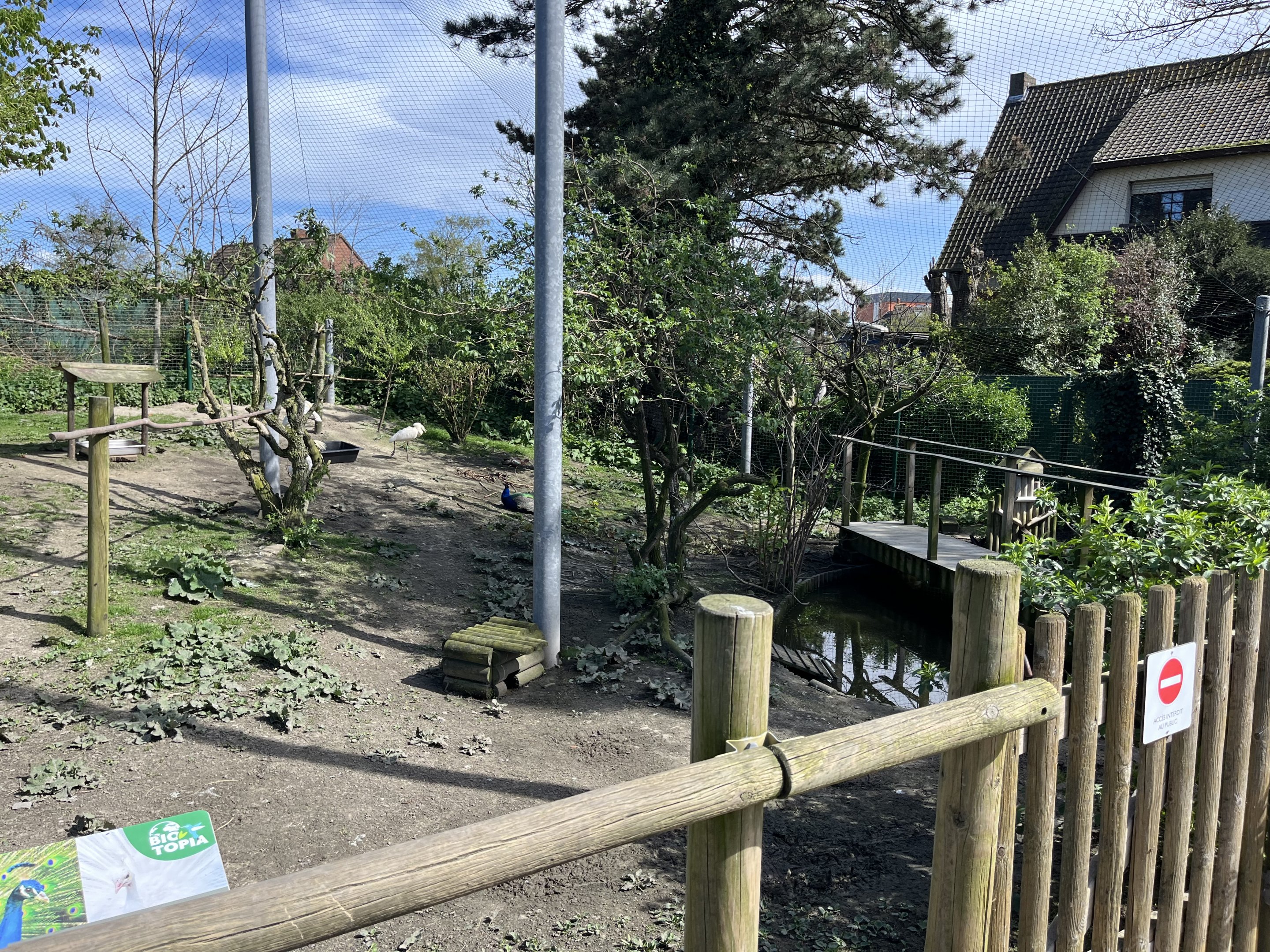 Walkthrough aviary general view - Bio-Topia Fort-Mardyck