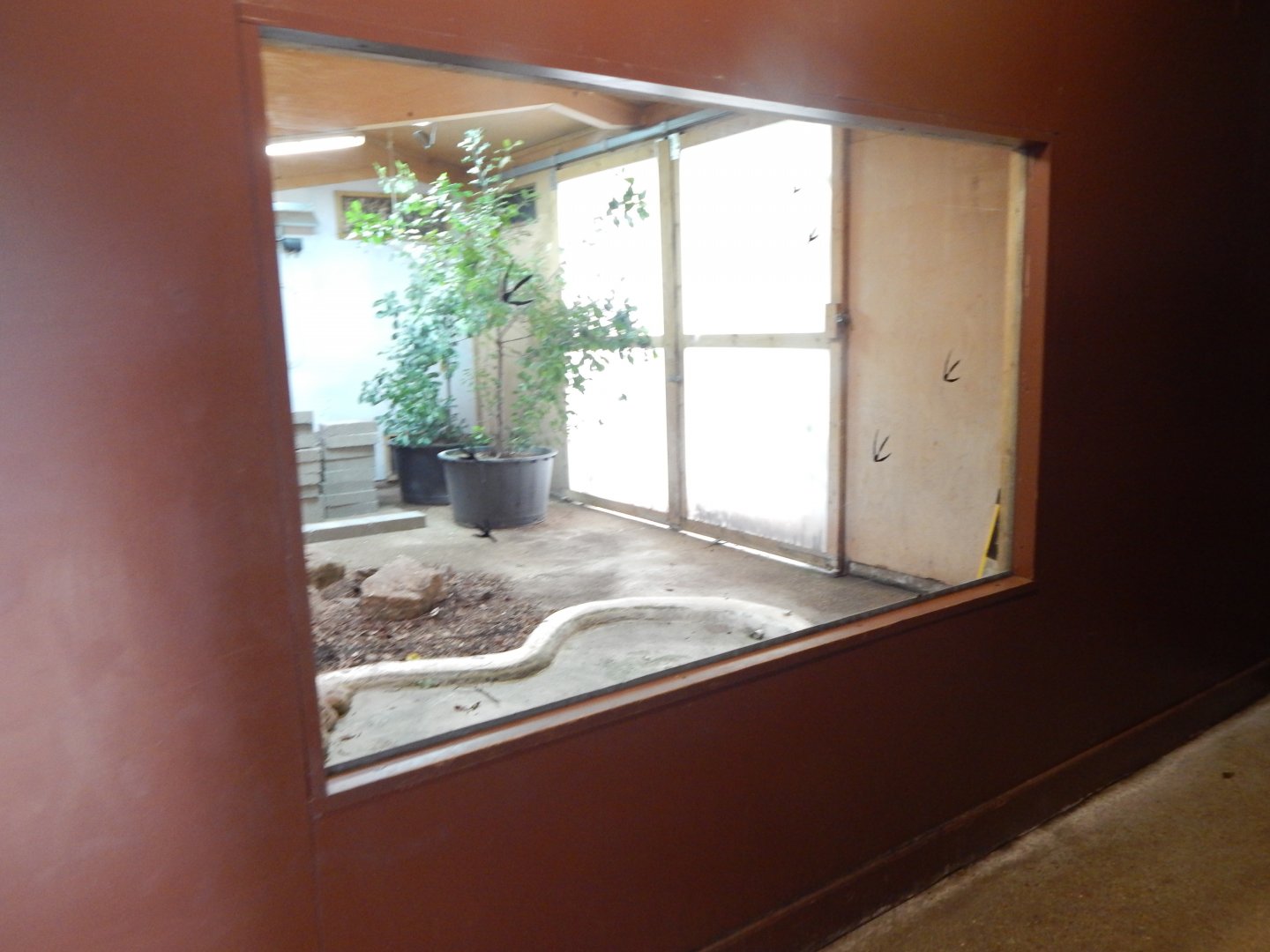 Walkthrough Aviary in Fur, Feathers & Scales 150725