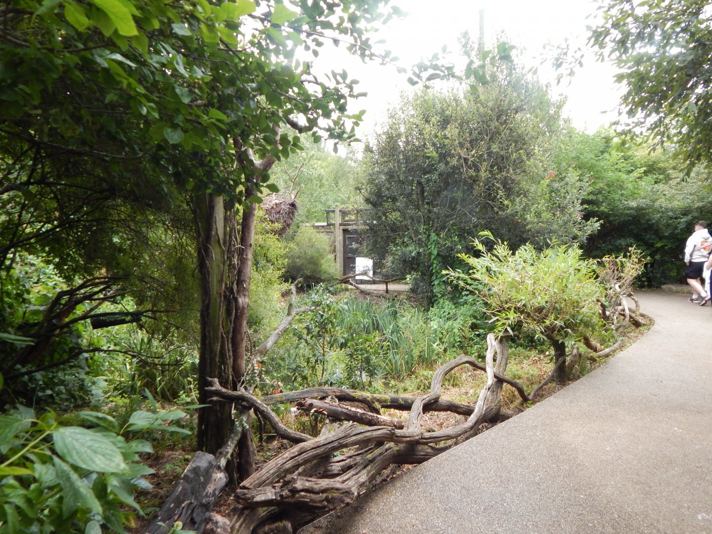 Walkthrough Aviary in Fur, Feathers & Scales 150725