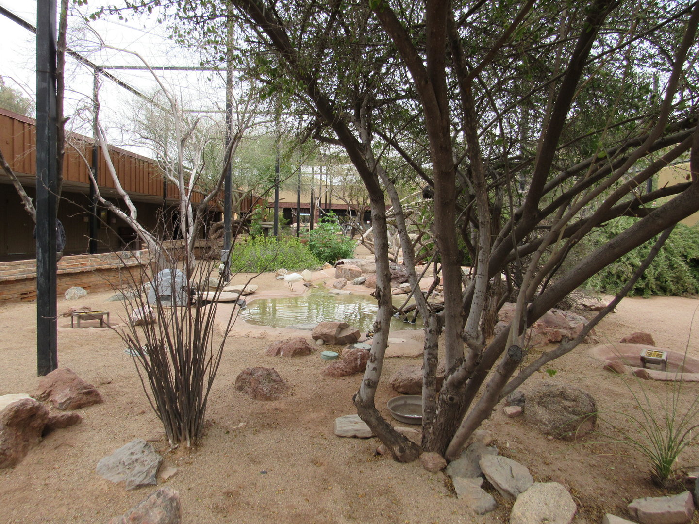 Walkthrough Aviary in the Arizona Trail - 3/7/23