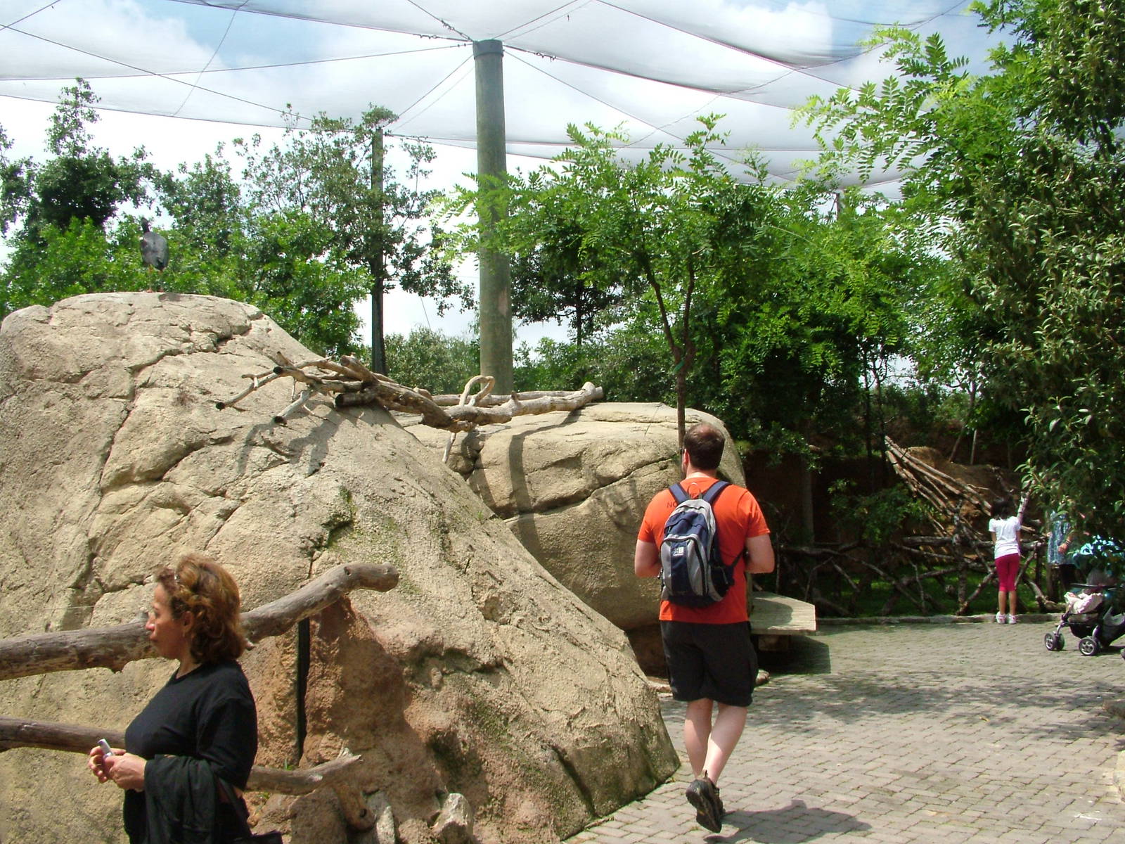Walkthrough Aviary Interior at Bioparc Valencia, 28/05/11