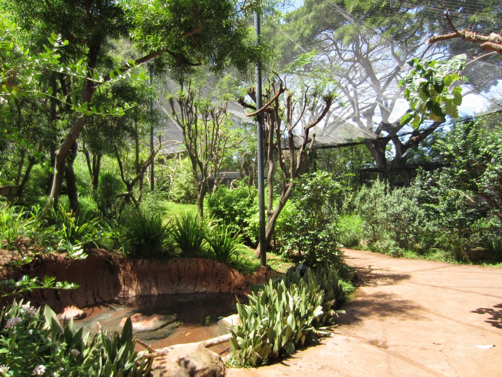 Walkthrough Aviary interior