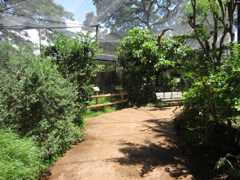 Walkthrough Aviary interior