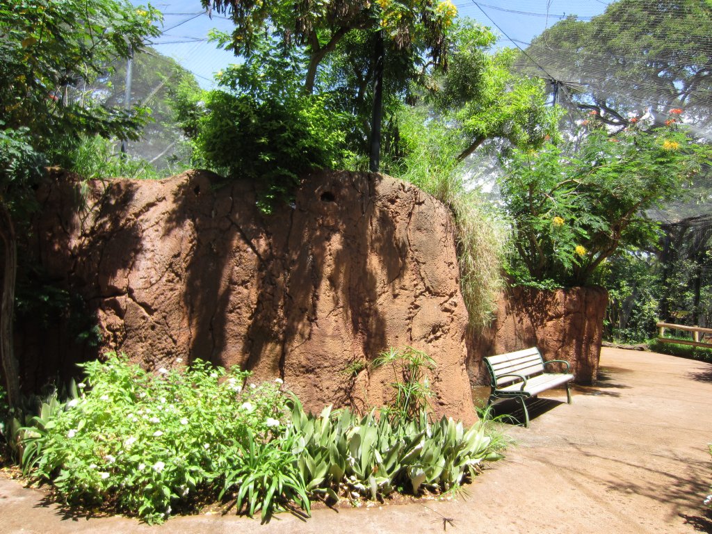 Walkthrough Aviary interior