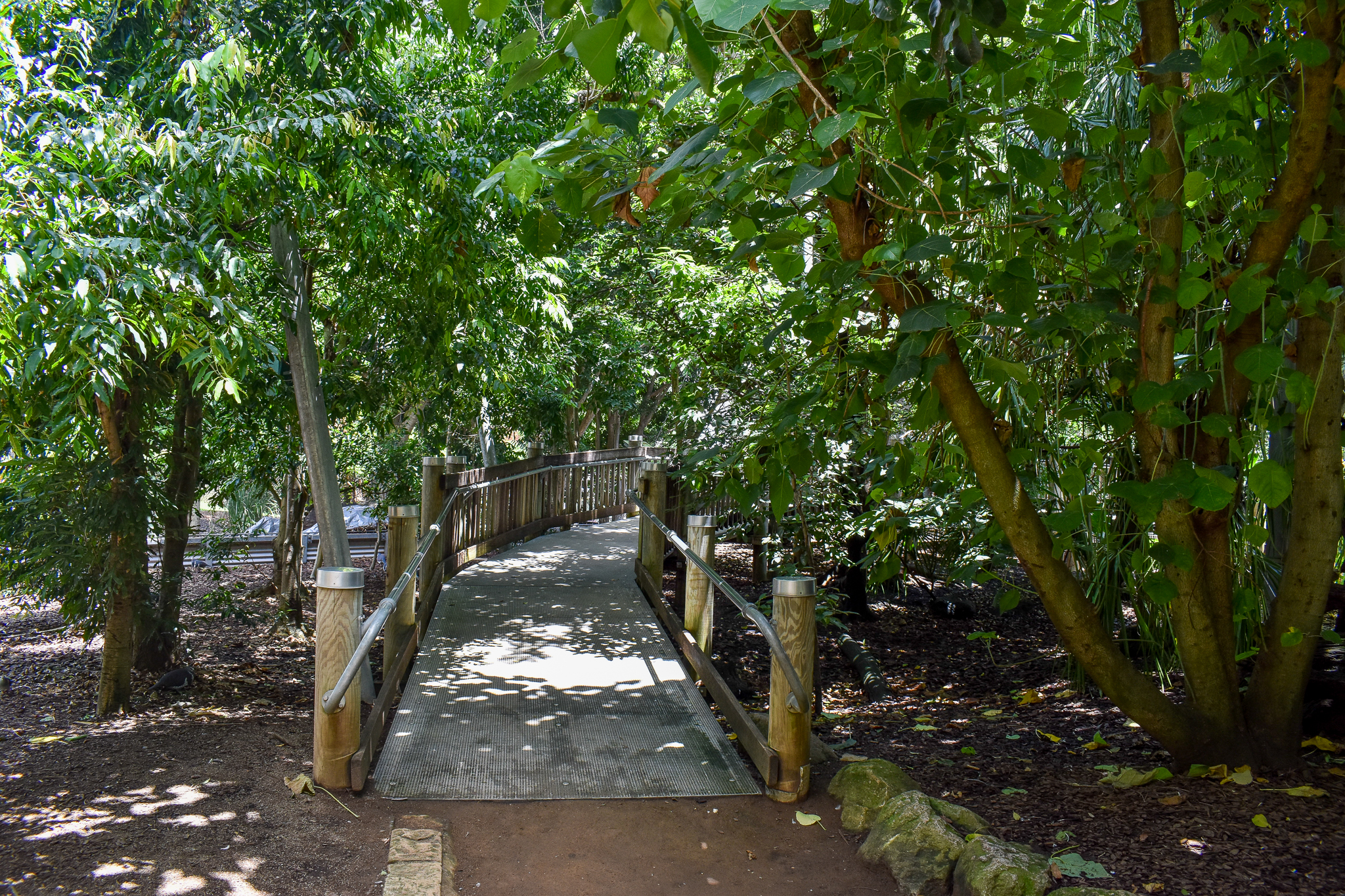 Walkthrough Aviary Interior