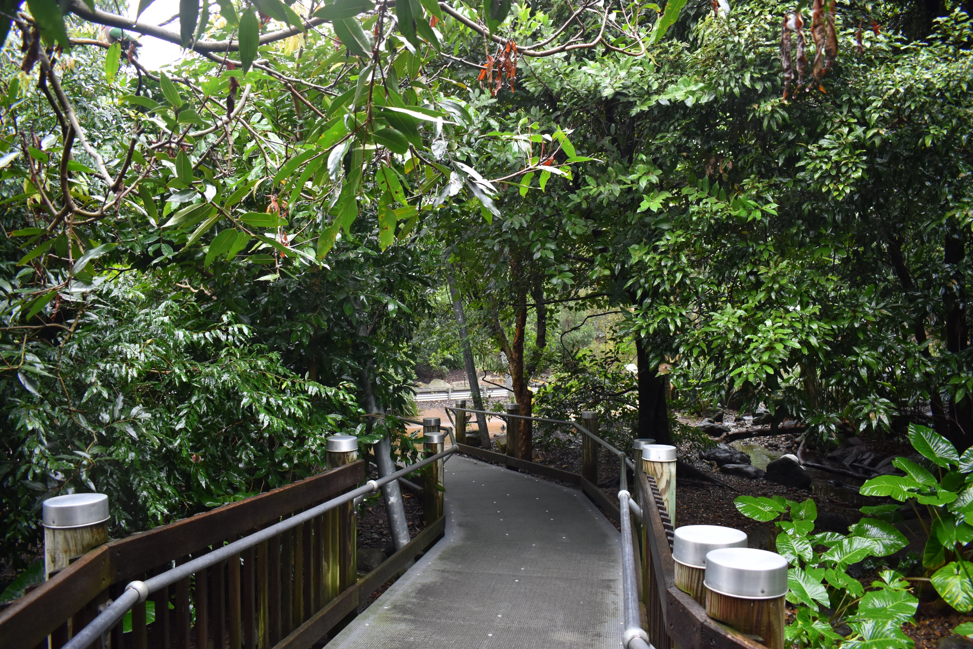 Walkthrough Aviary Interior